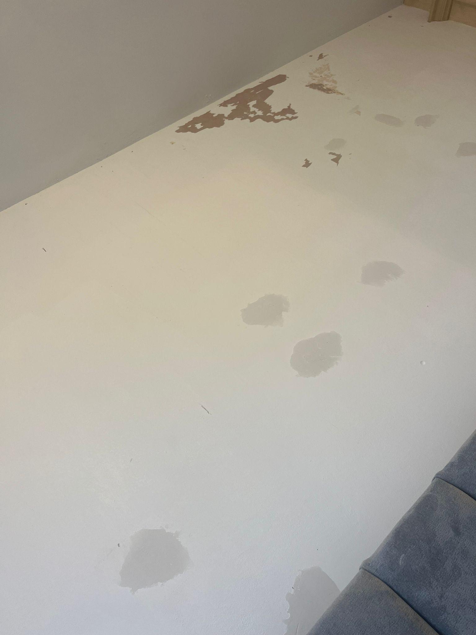 How to paint over wall? (after wallpaper removal) r/DIYUK