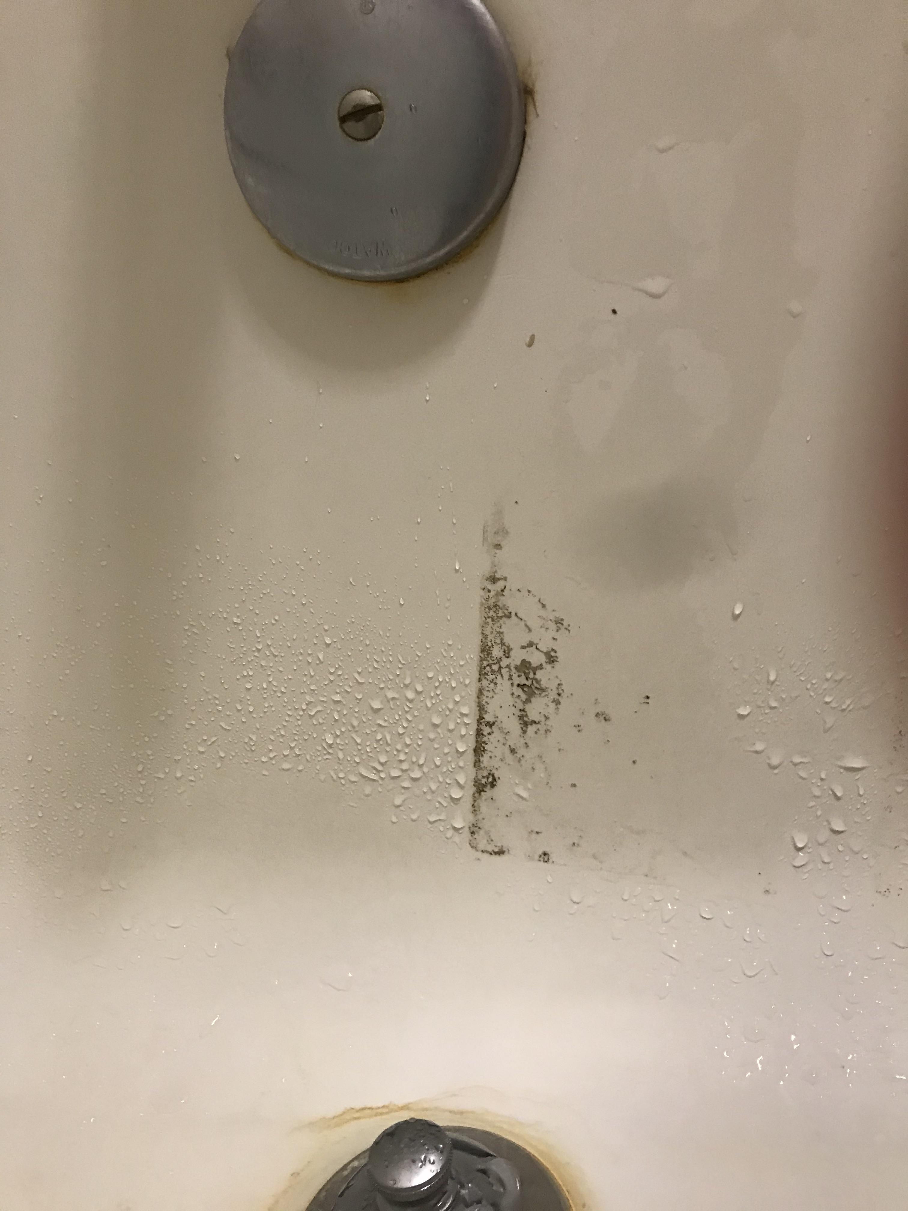 What is this fine grainy residue in my tub? r/whatisthisthing