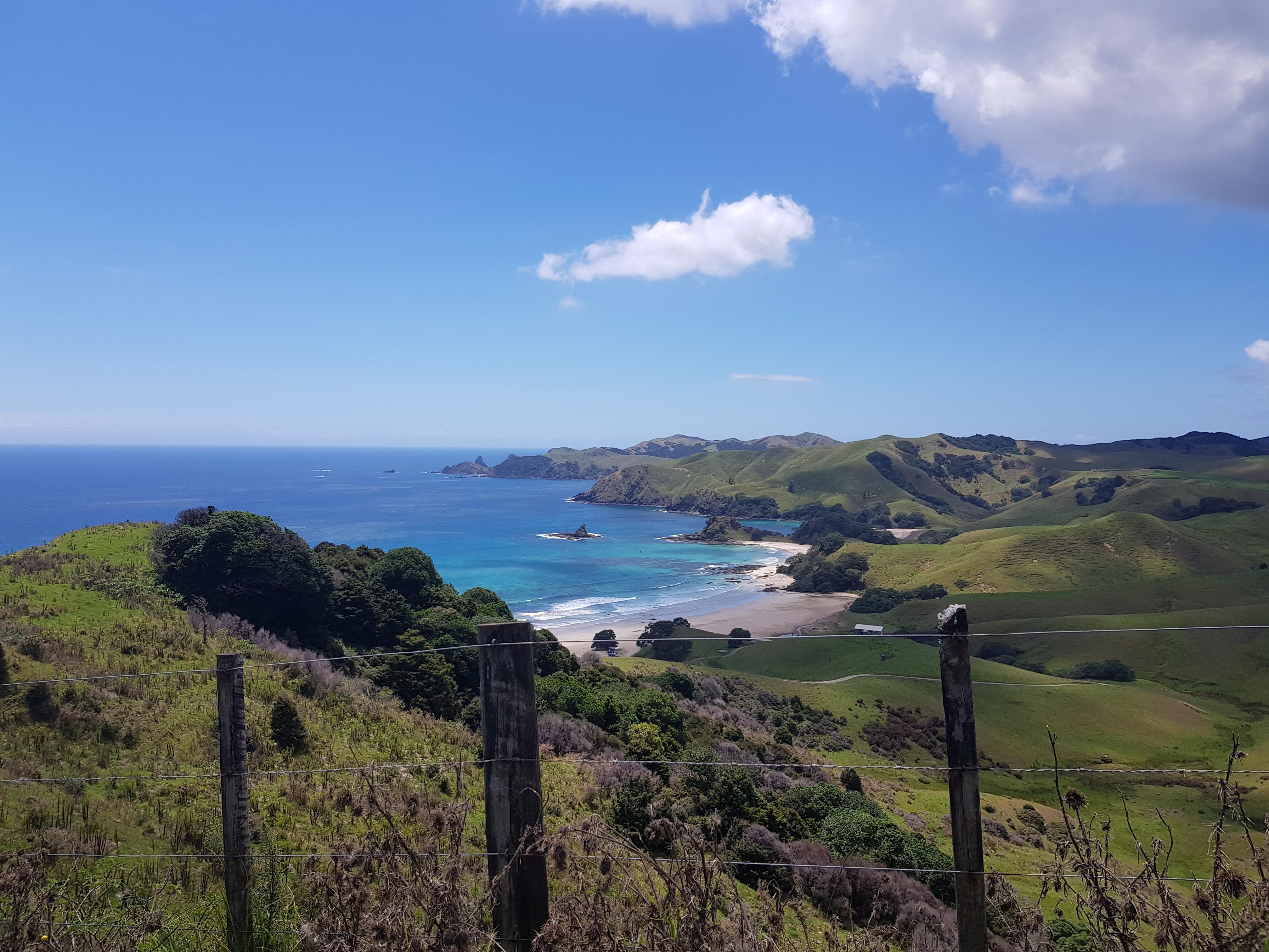 Paradise Bay, Northland r/newzealand