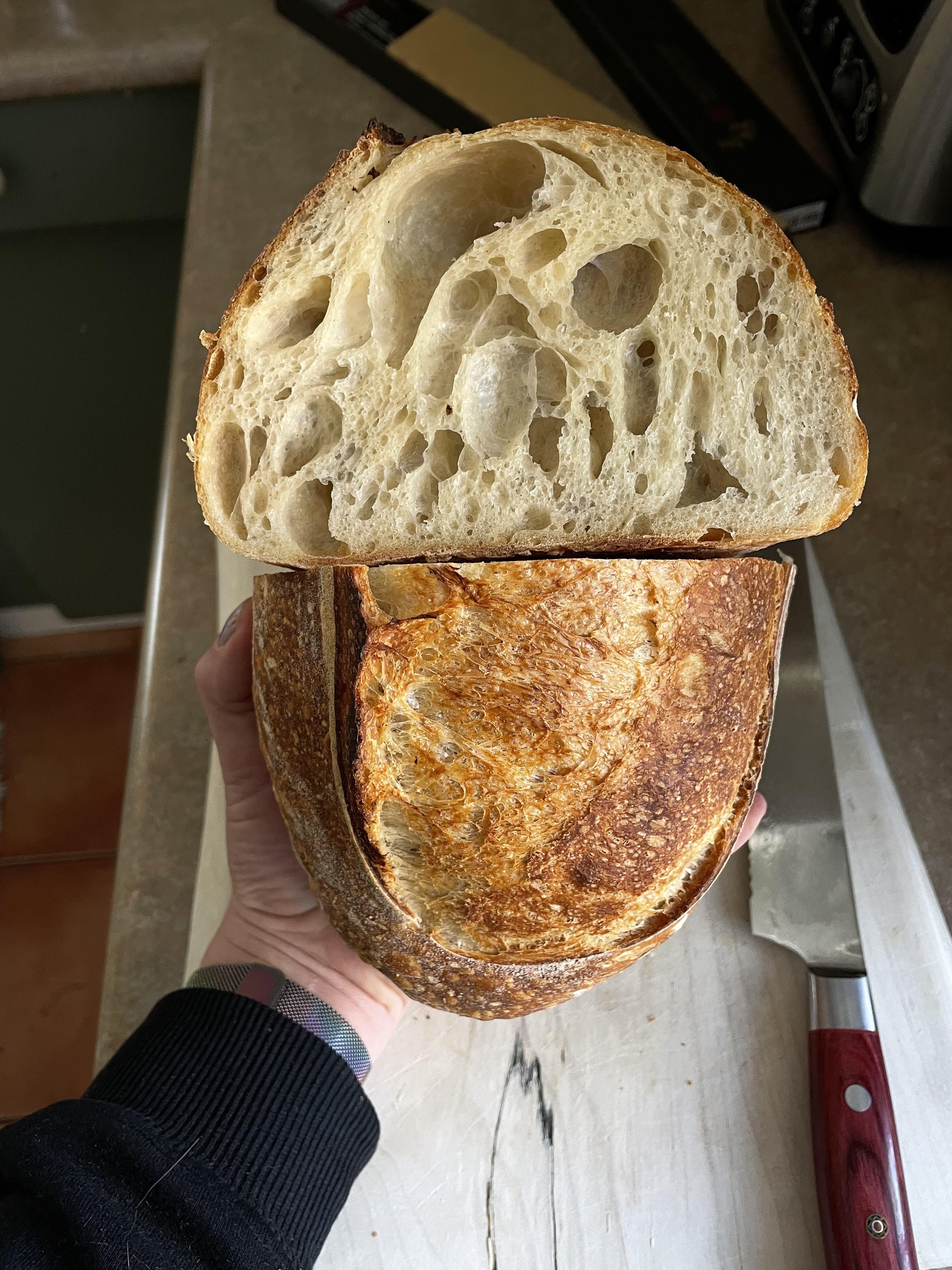 100 AP Flour r/Sourdough