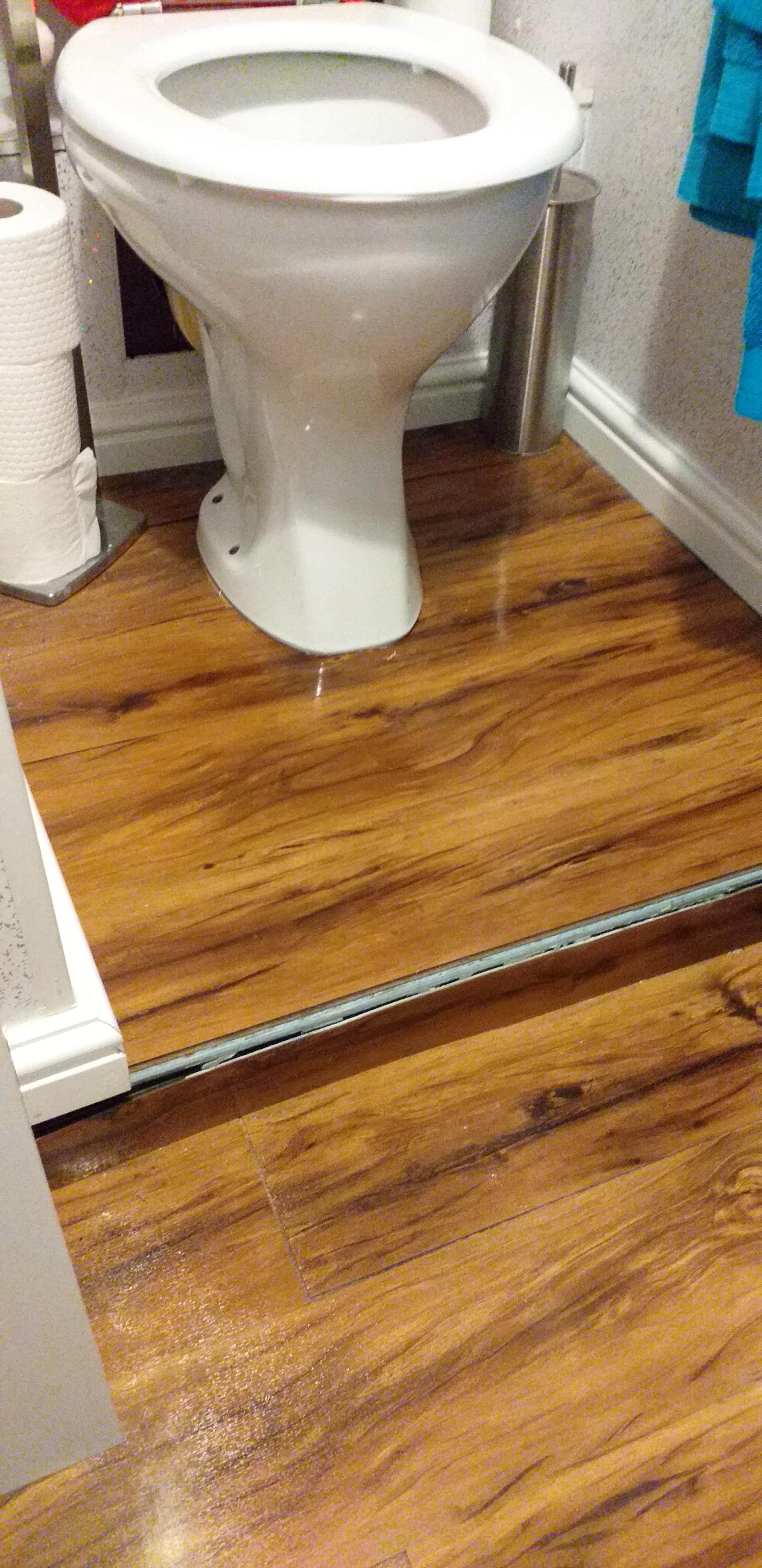 This bathroom has a step up to the loo. Yes, I stubbed my toe. r