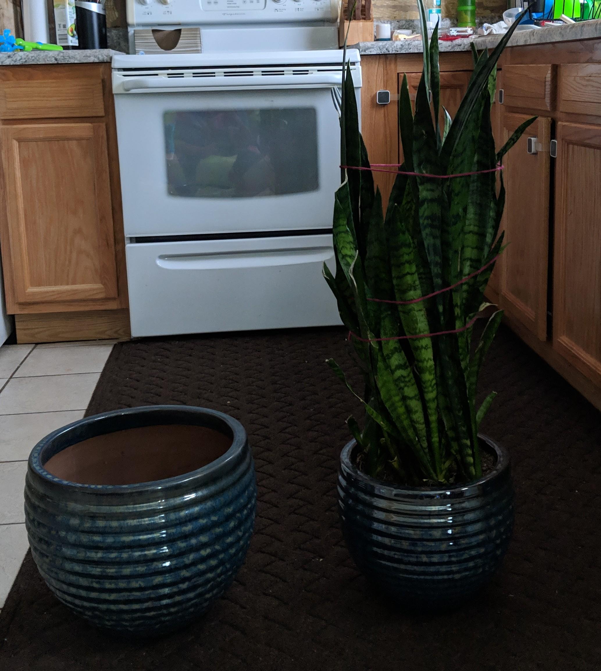 Sorry for the dumb question... Is this larger pot too big for this