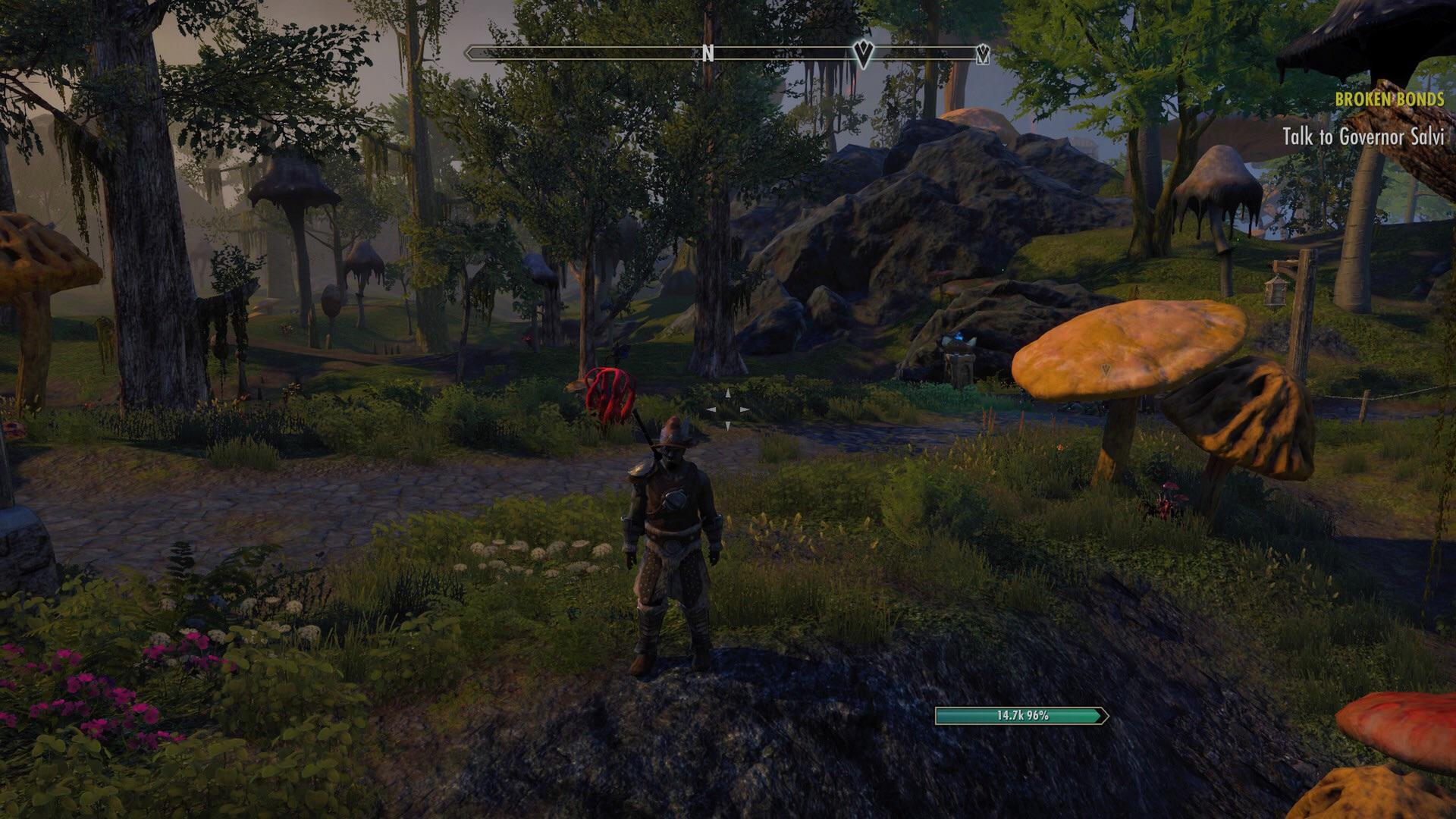 Is ESO supposed to look this way in 4K on PS4 Pro? Everything is so