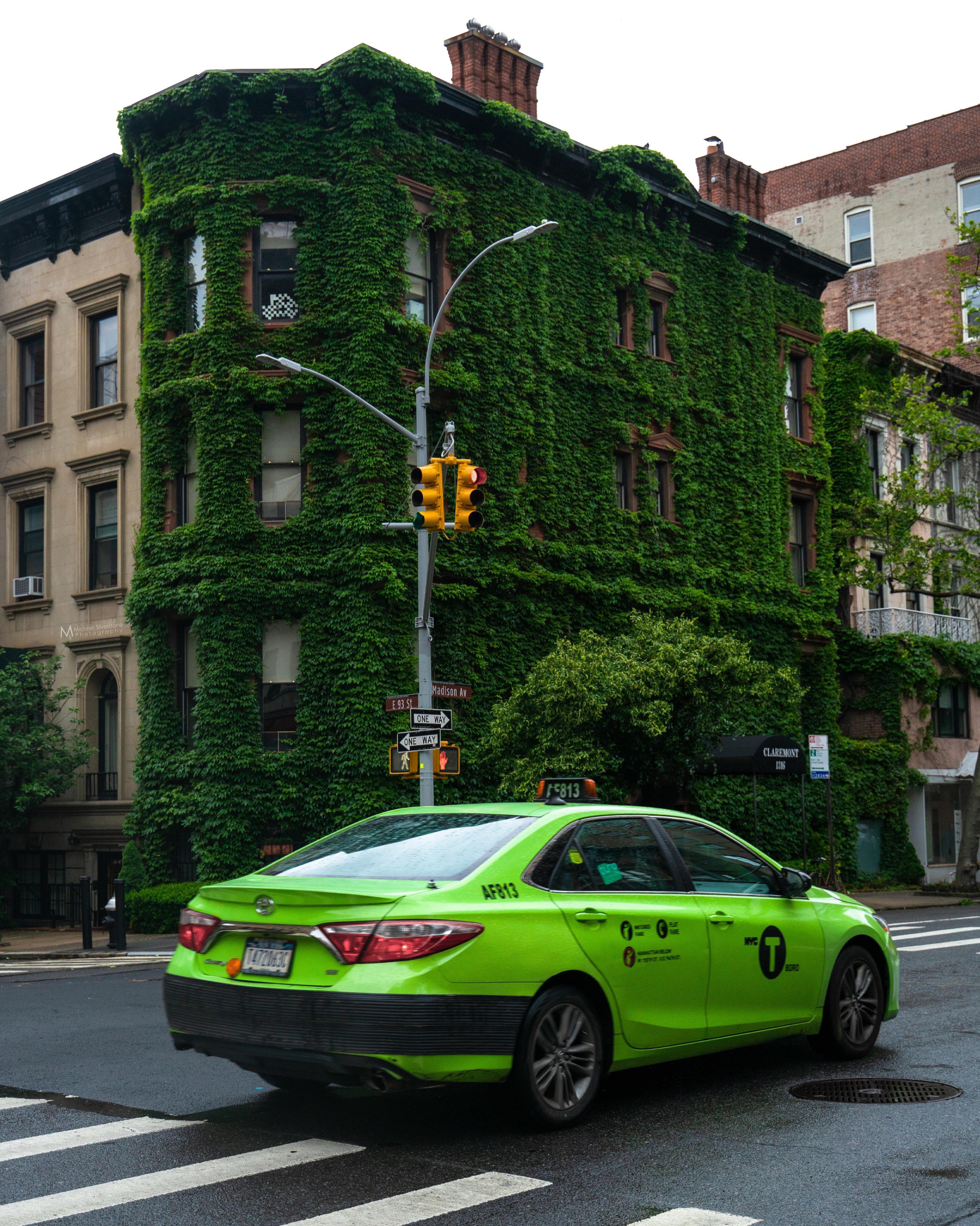 Admiring the greenery of NYC! r/nyc