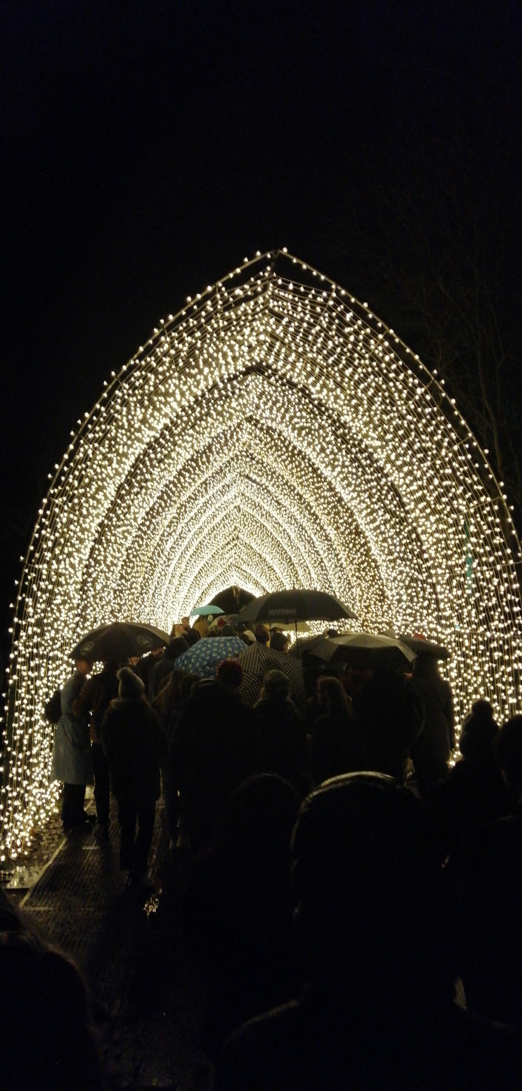 Natural Tunnel Christmas Lights 2024 Light tunnel from KEW gardens Christmas light show more photos in
