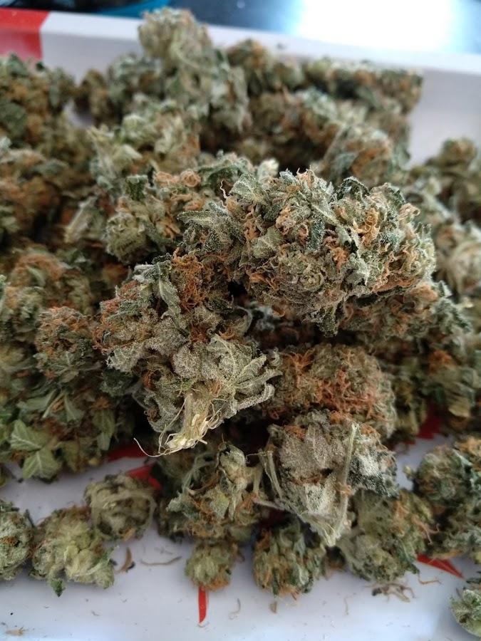 [Tangerine Kush] from BudgetBuds [99/oz] [January] r/MOMpics