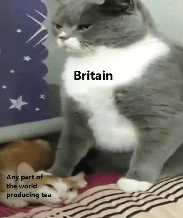 Give me the plant HistoryMemes