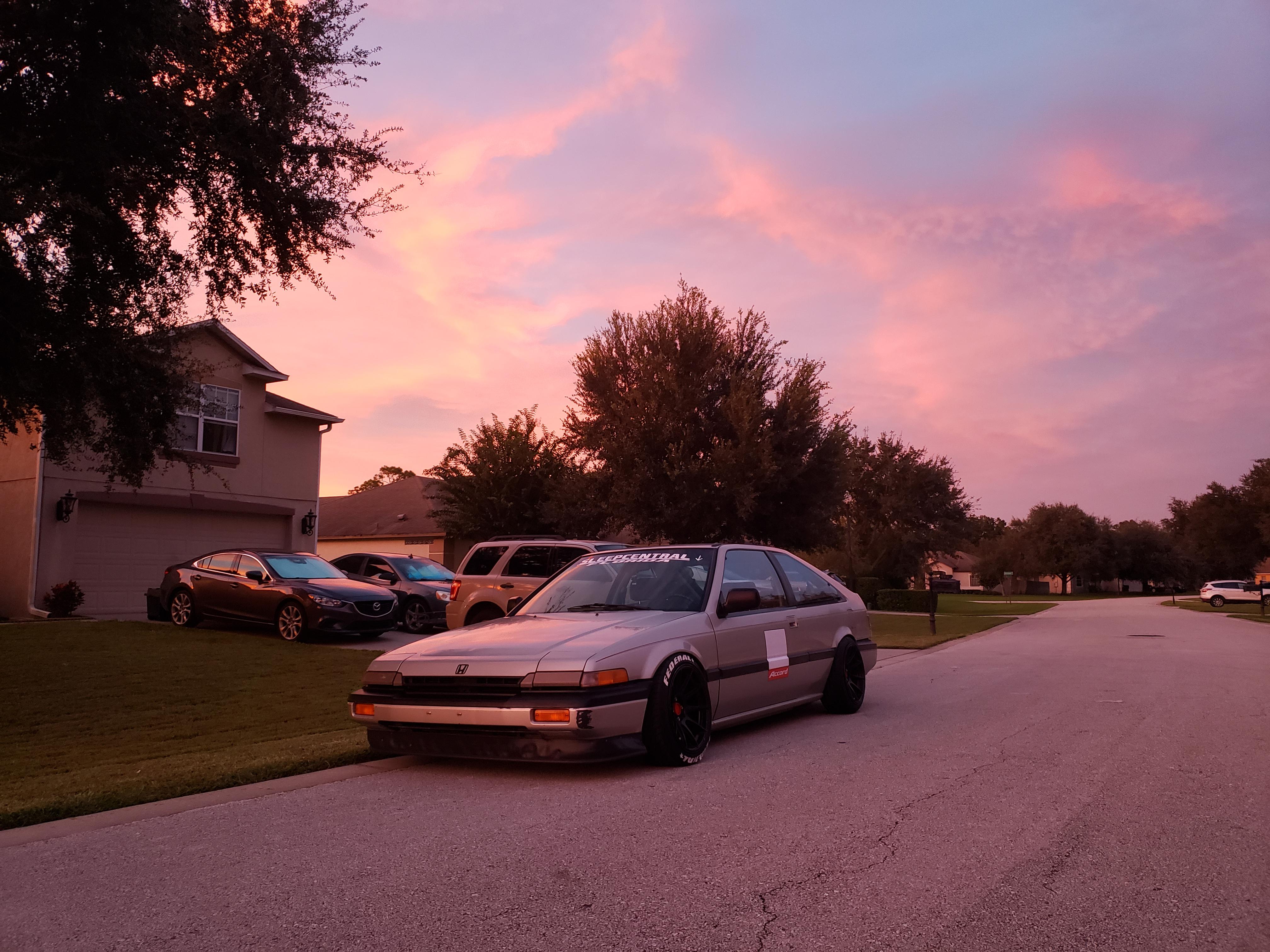 You guys seemed to really like her last time, so here's another photo