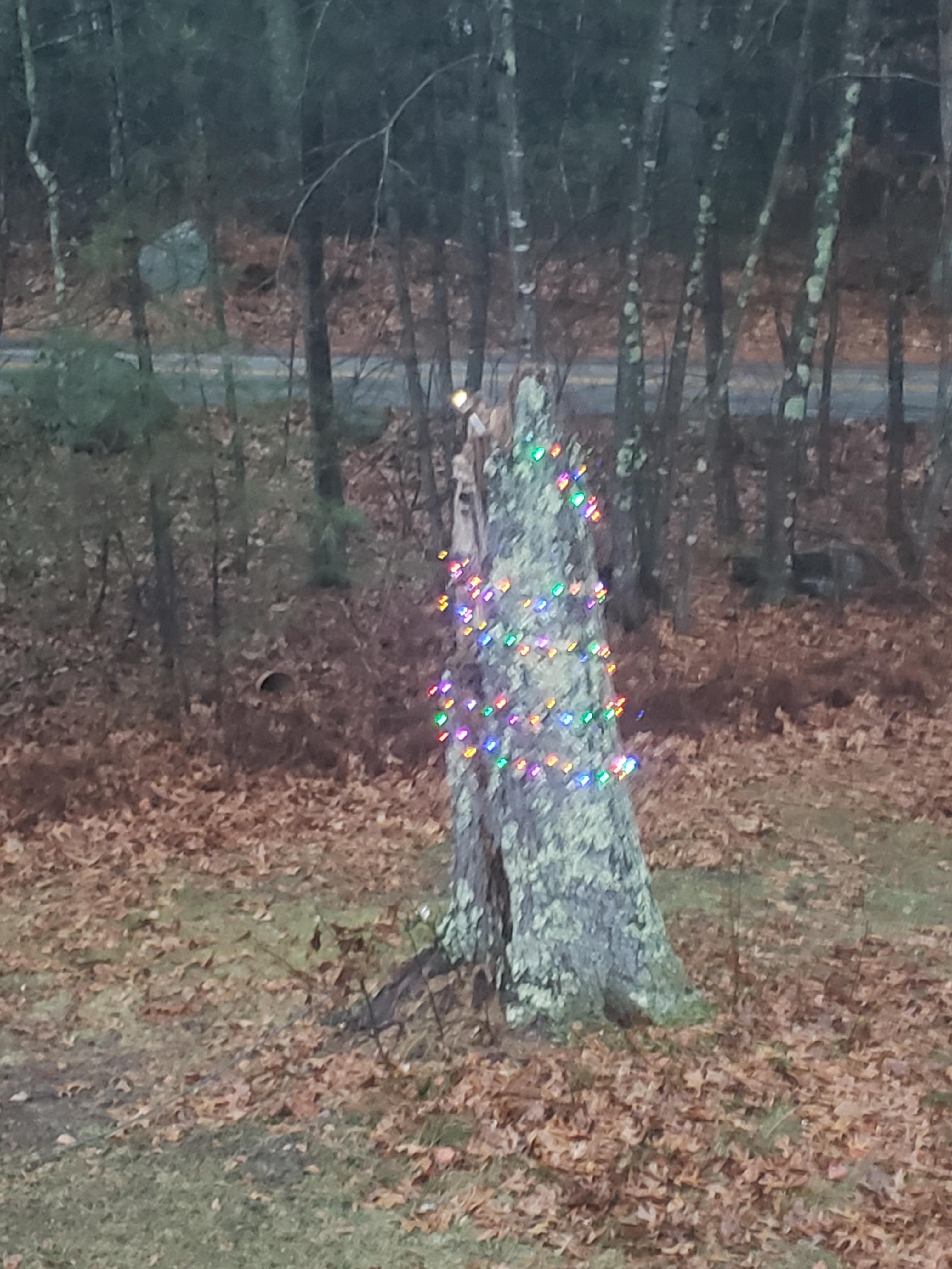 This tree stump I decorated for Christmas r/notinteresting