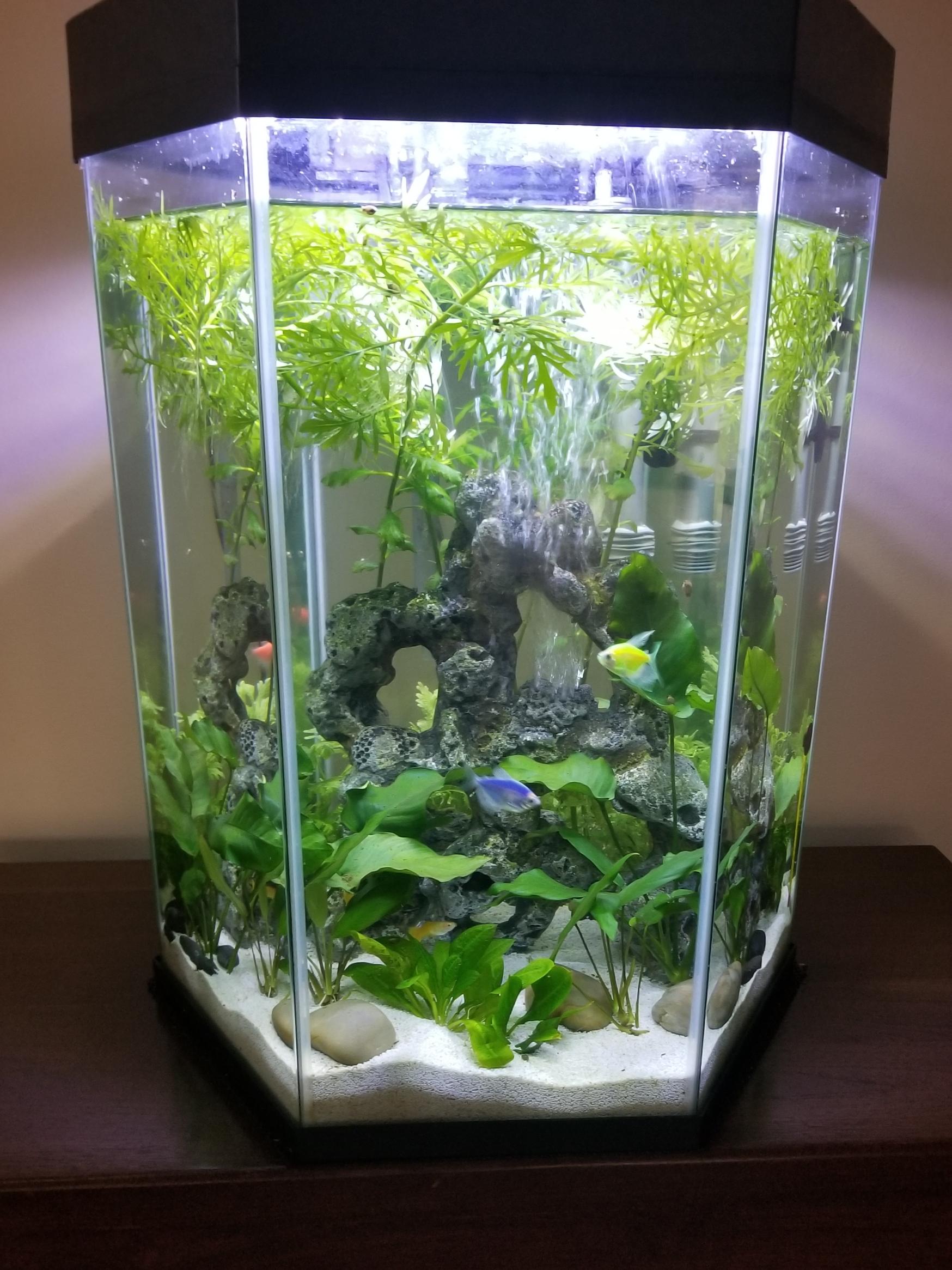 It took me so many months of trying different decor and pulling out