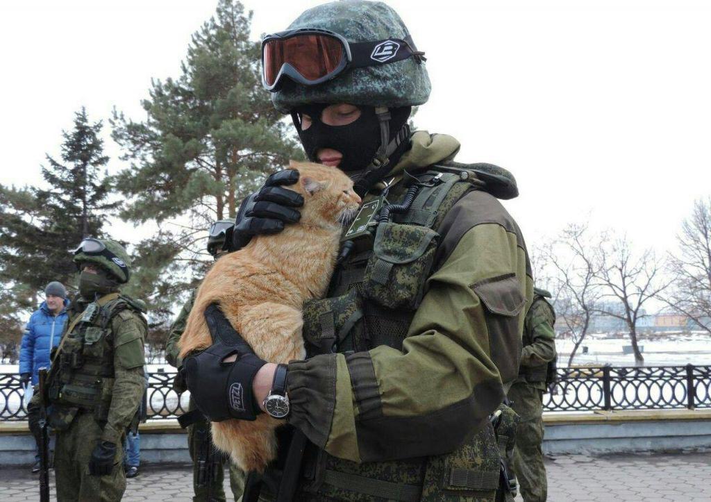 Ukrainian soldier holding a cat sometime in March 2022 [1024 x 723