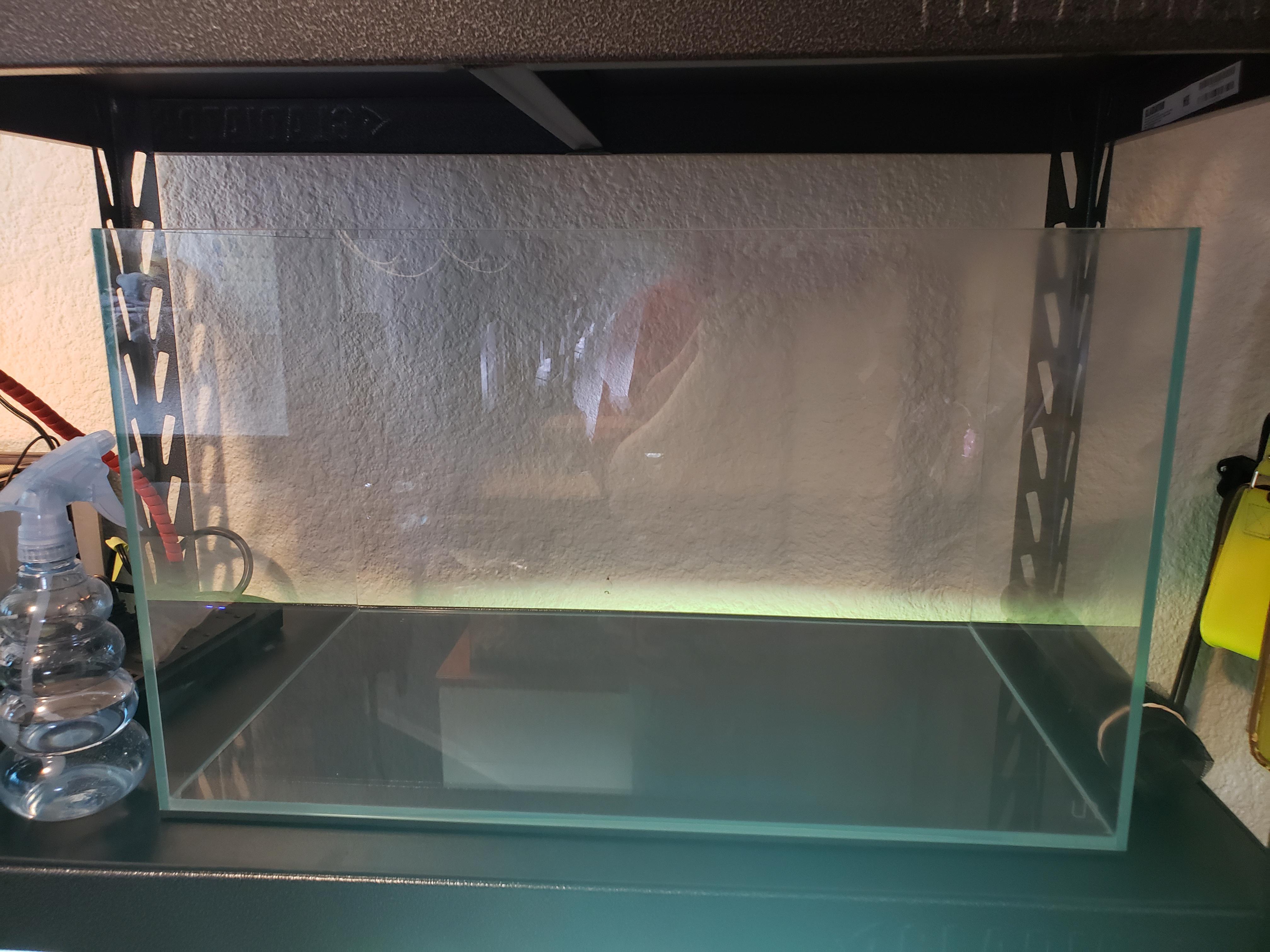 Got a 20 gallon rimless aquarium! I'm thinking of doing classic mollys