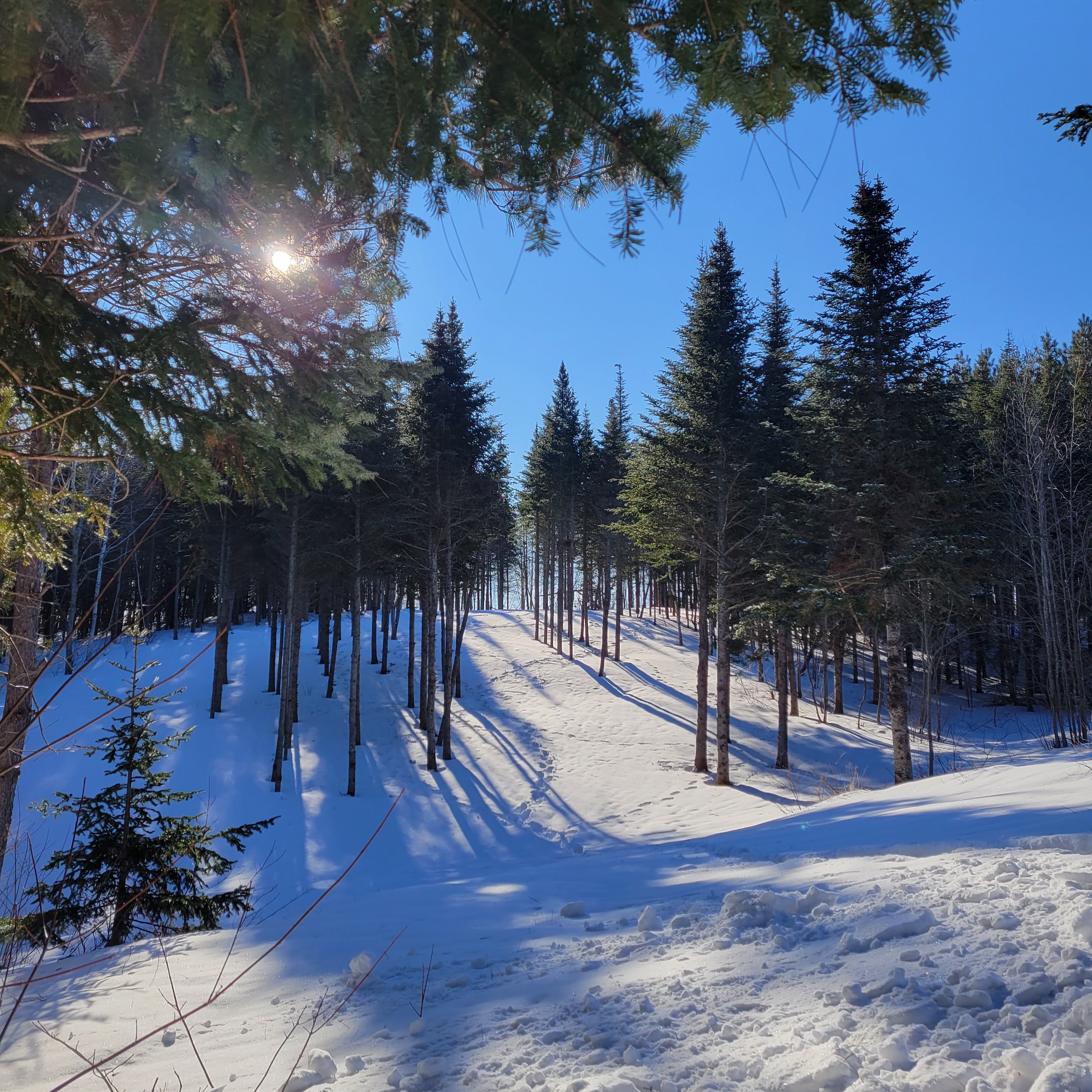 Beautiful day yesterday playing disc golf at Huck it in Kinkora. If you