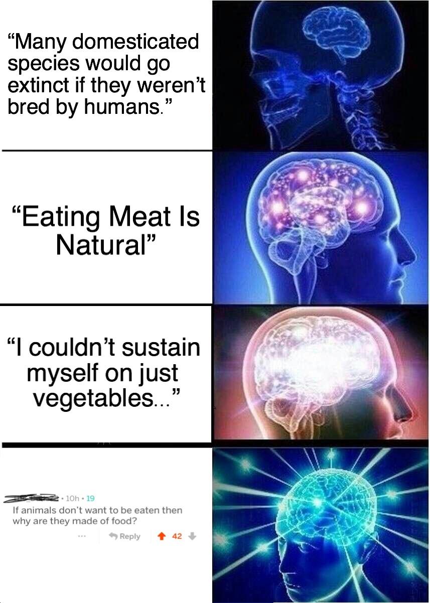 Arguments Against Veganism vegan