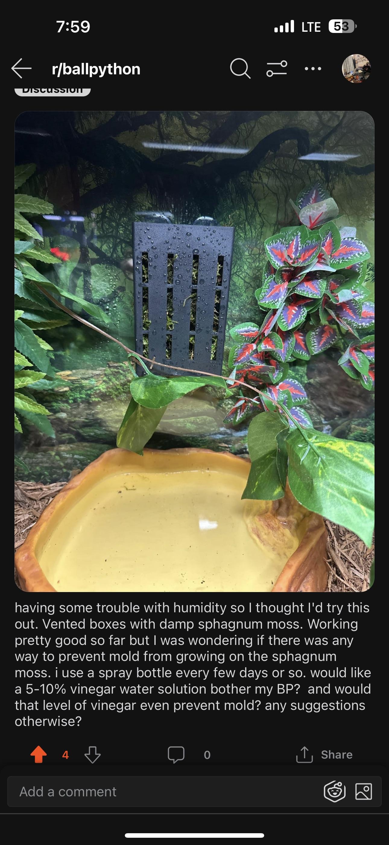 humidity mold solution? r/snakes