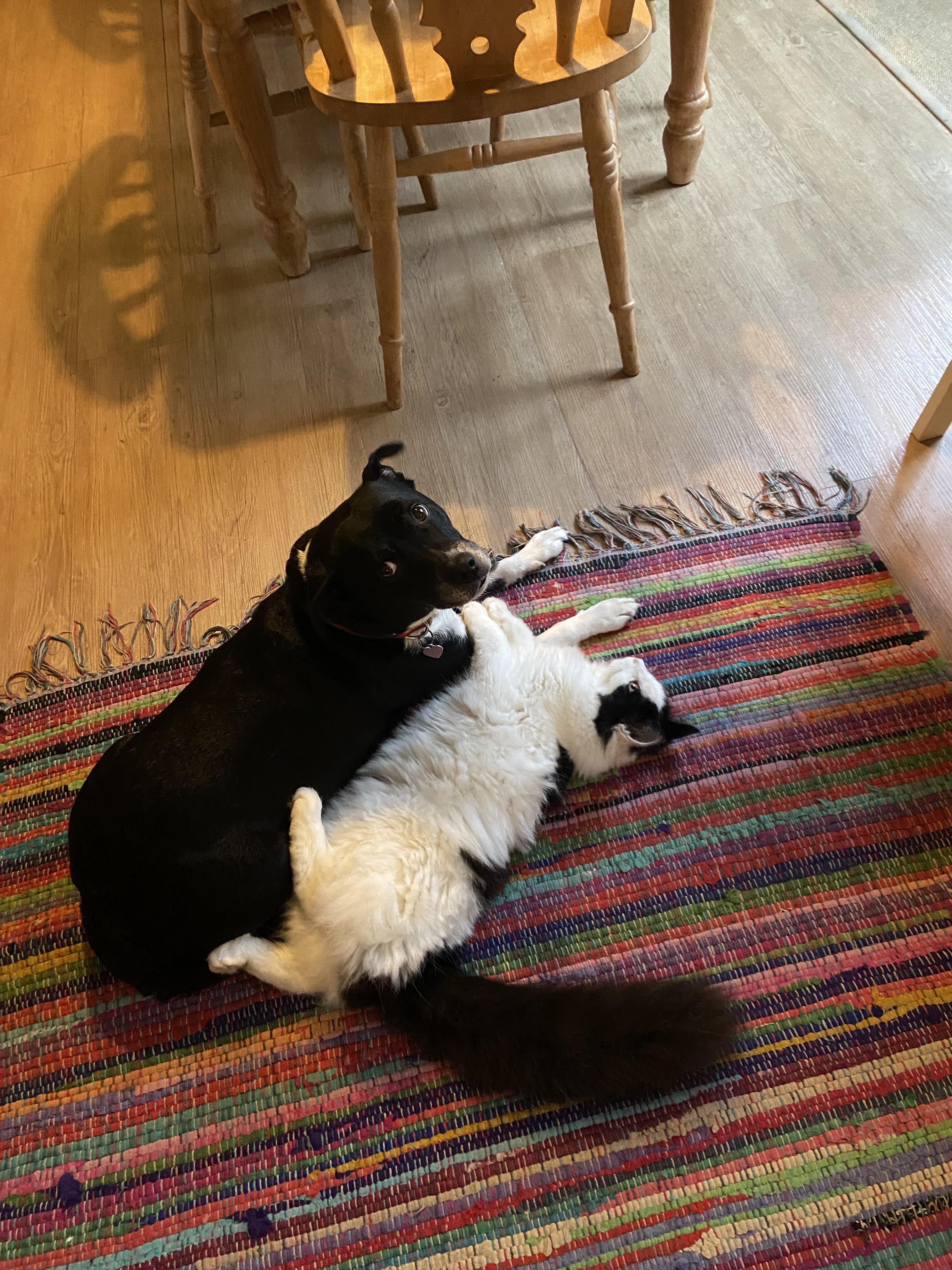 Reddit Dive into anything