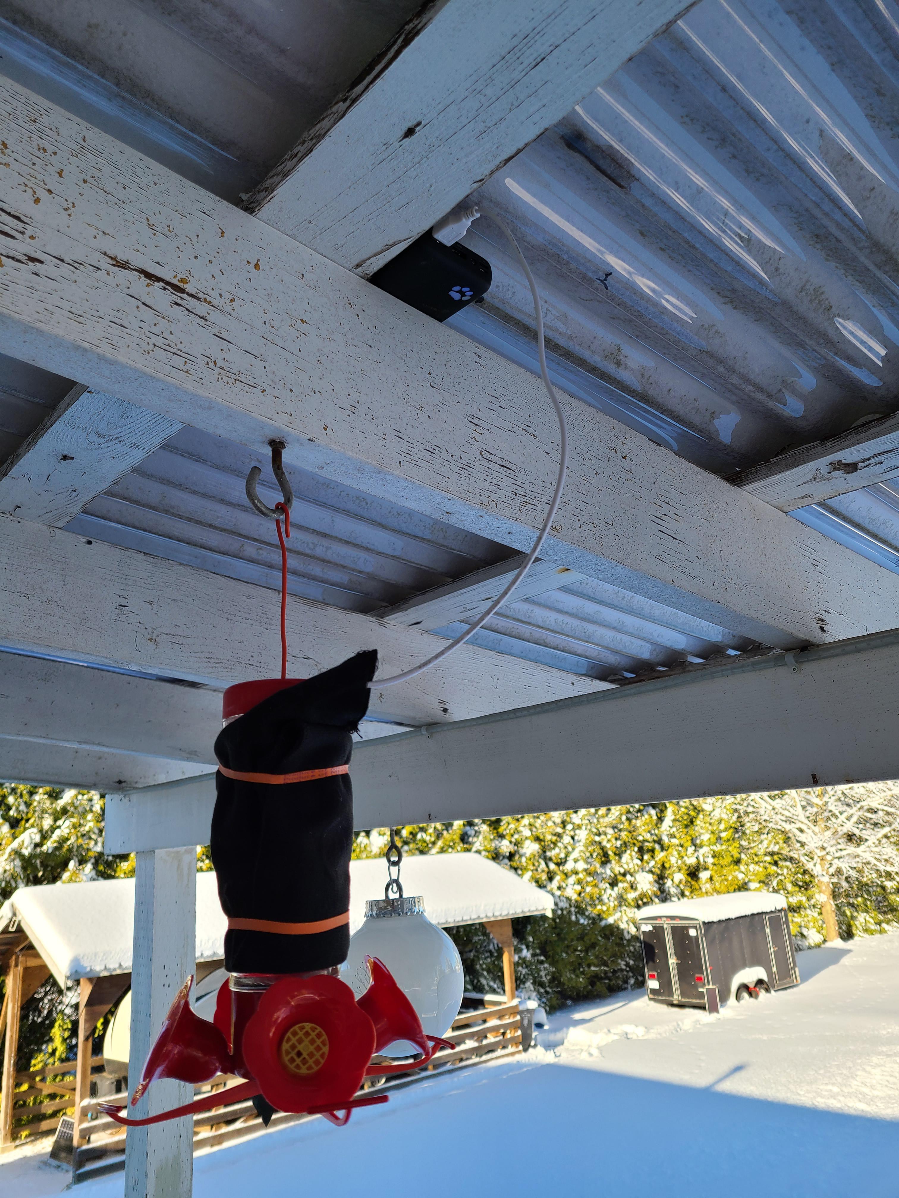 Usb powered hummingbird feeder heater r/vancouver