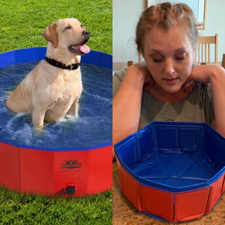 “Extra large” dog pool.. ExpectationVsReality
