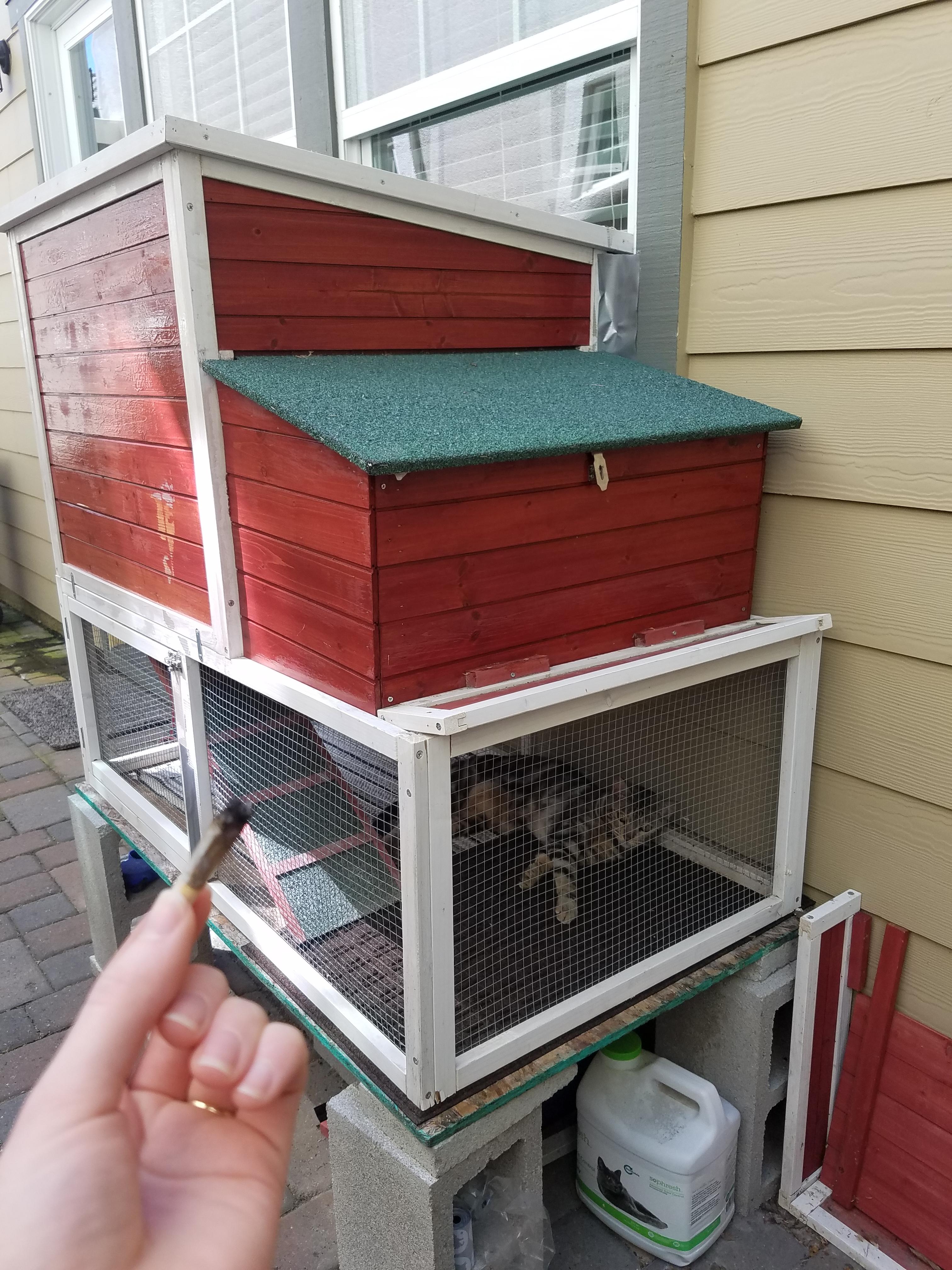 Reward Joint for building cat coop with cat window, no litter smell in