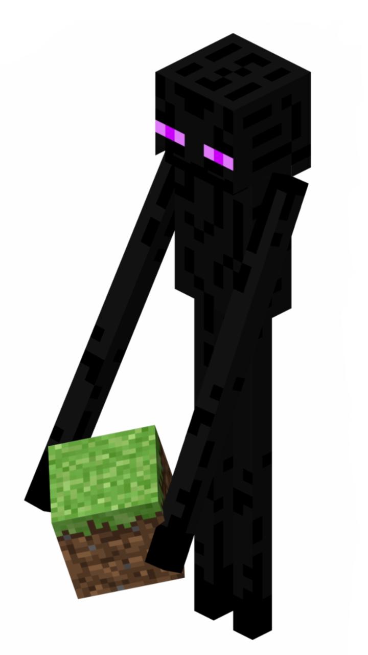Everyday we glance over the fact that Enderman have silk touch