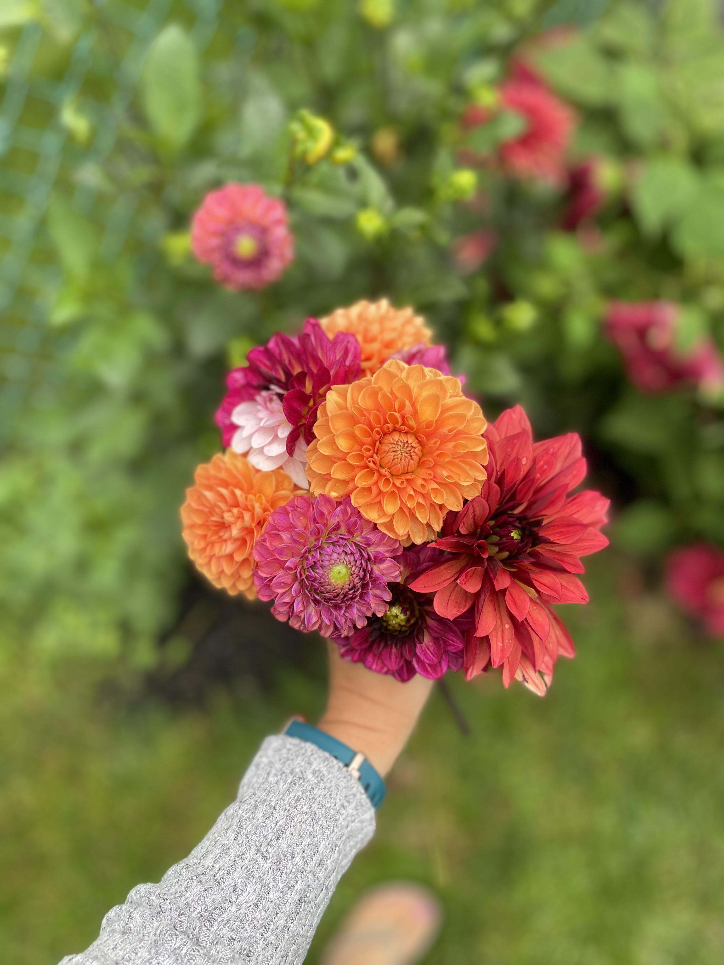 eden brothers Reddit post and comment search SocialGrep