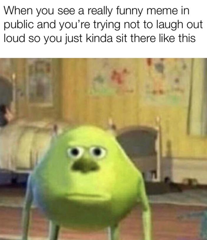 Finding a rare funny meme memes