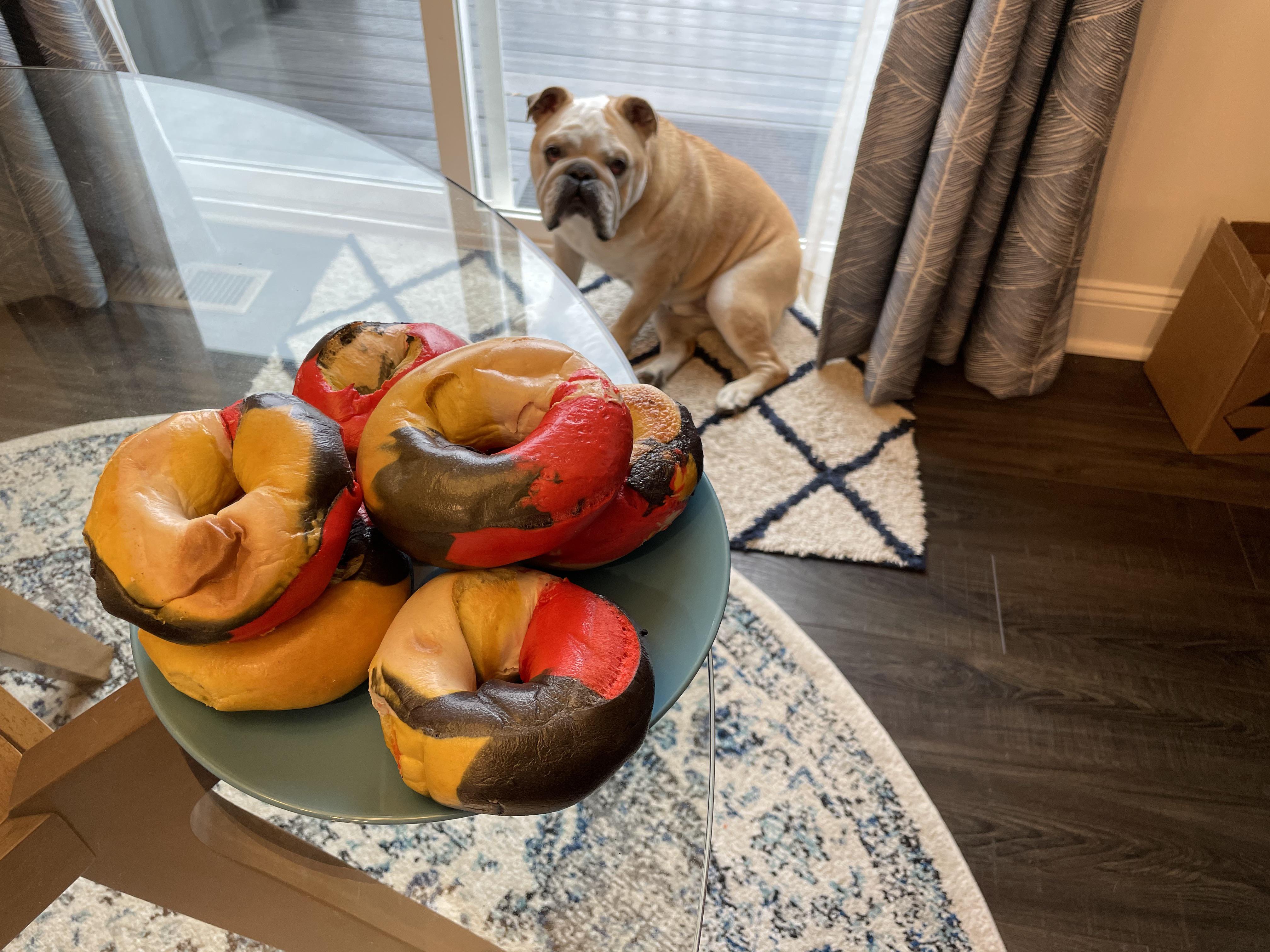 Maryland Day Bagels from Towson Hot Bagels r/maryland