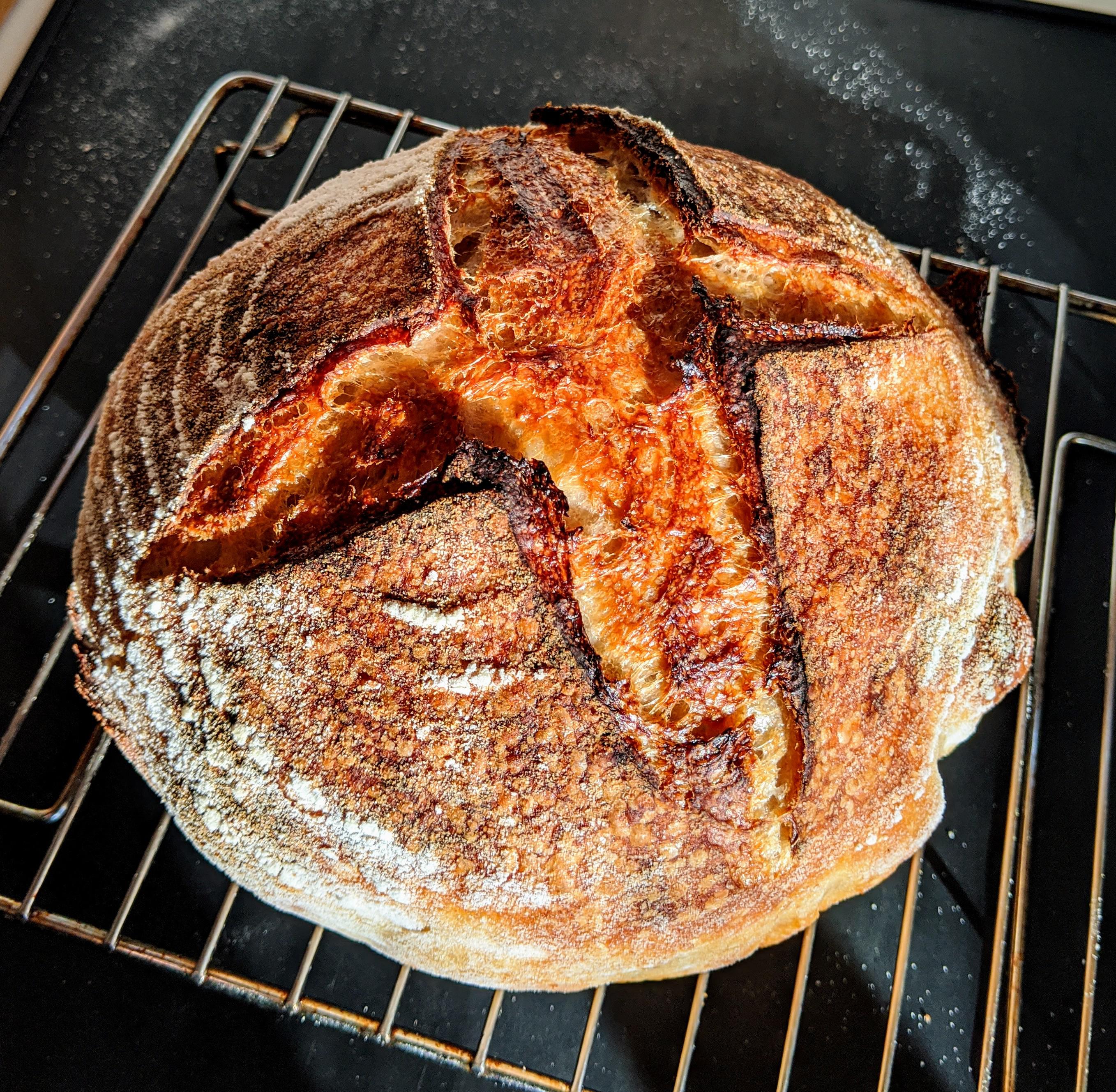 When the Bread Gods smile made critical mistake on this dough recipe