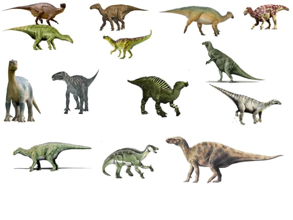 Iguanodon The Iguana Tooth r/Dinosaurs