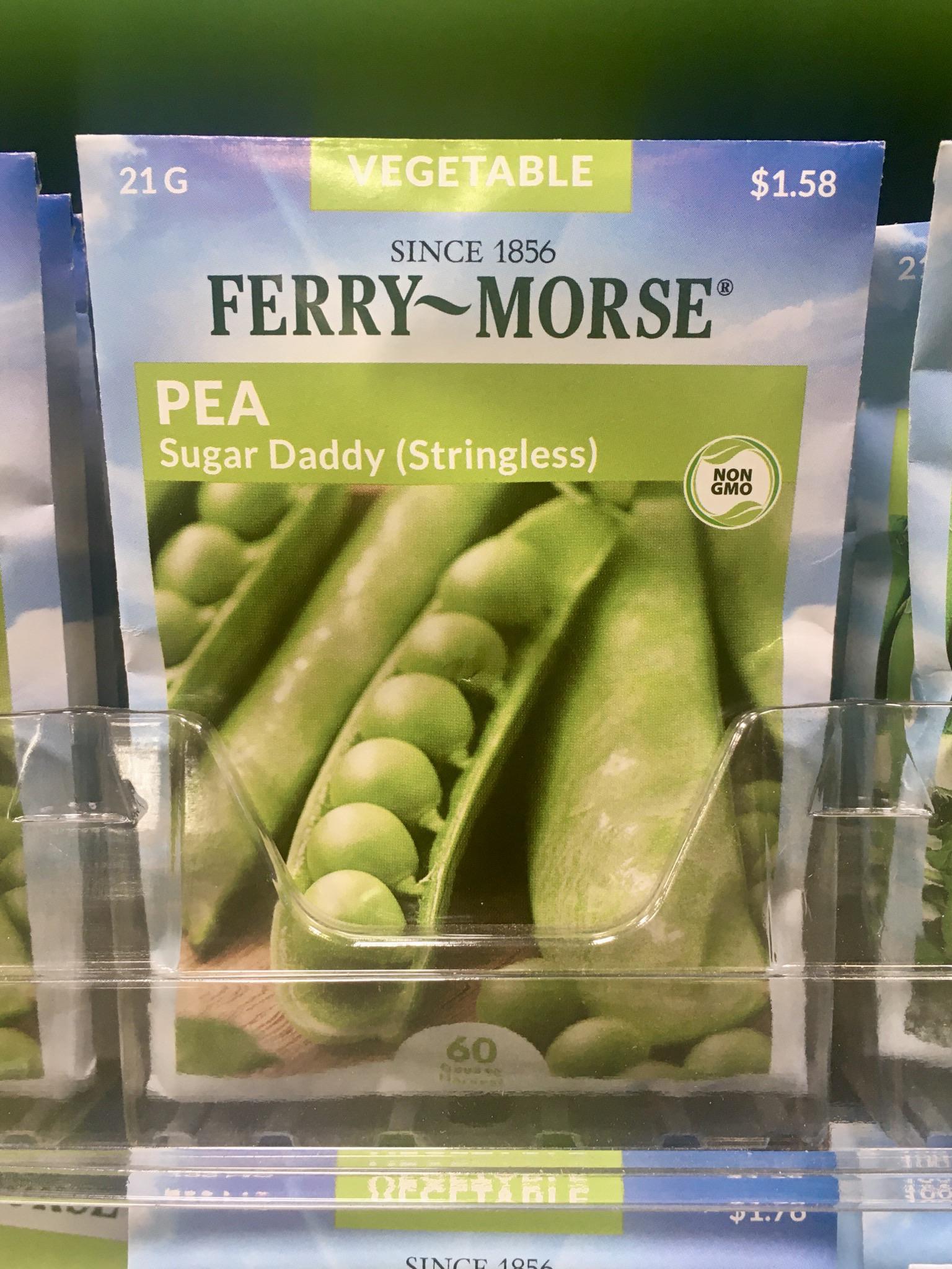 No strings attached Sugar Daddy theyknew