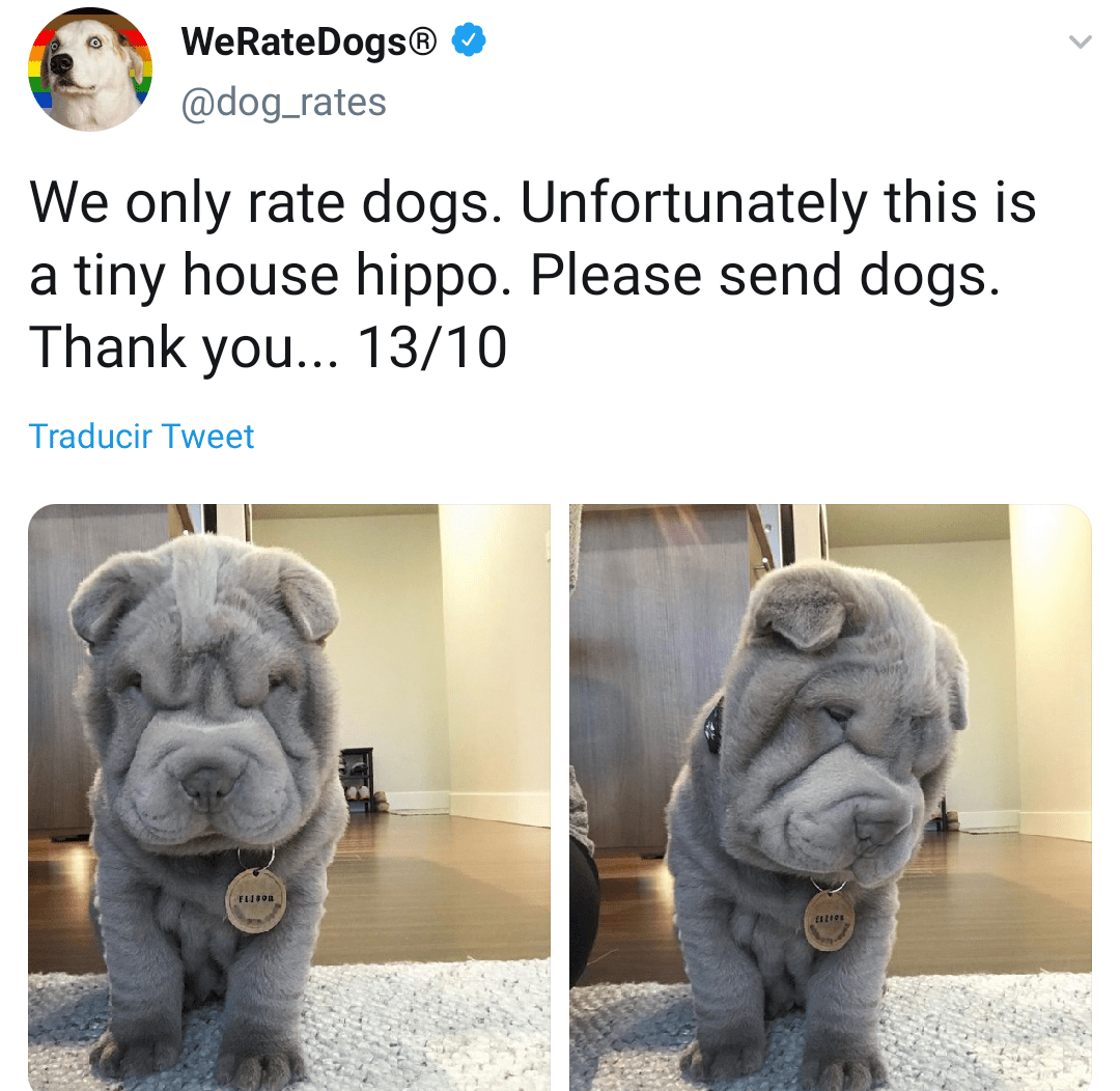 Tiny house hippo r/ProperAnimalNames