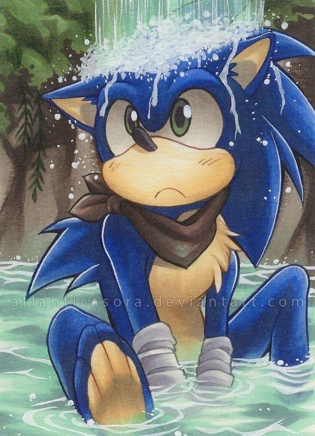 Was Sonic boom sonic always this cute artist (Eriko194 mabye?) r