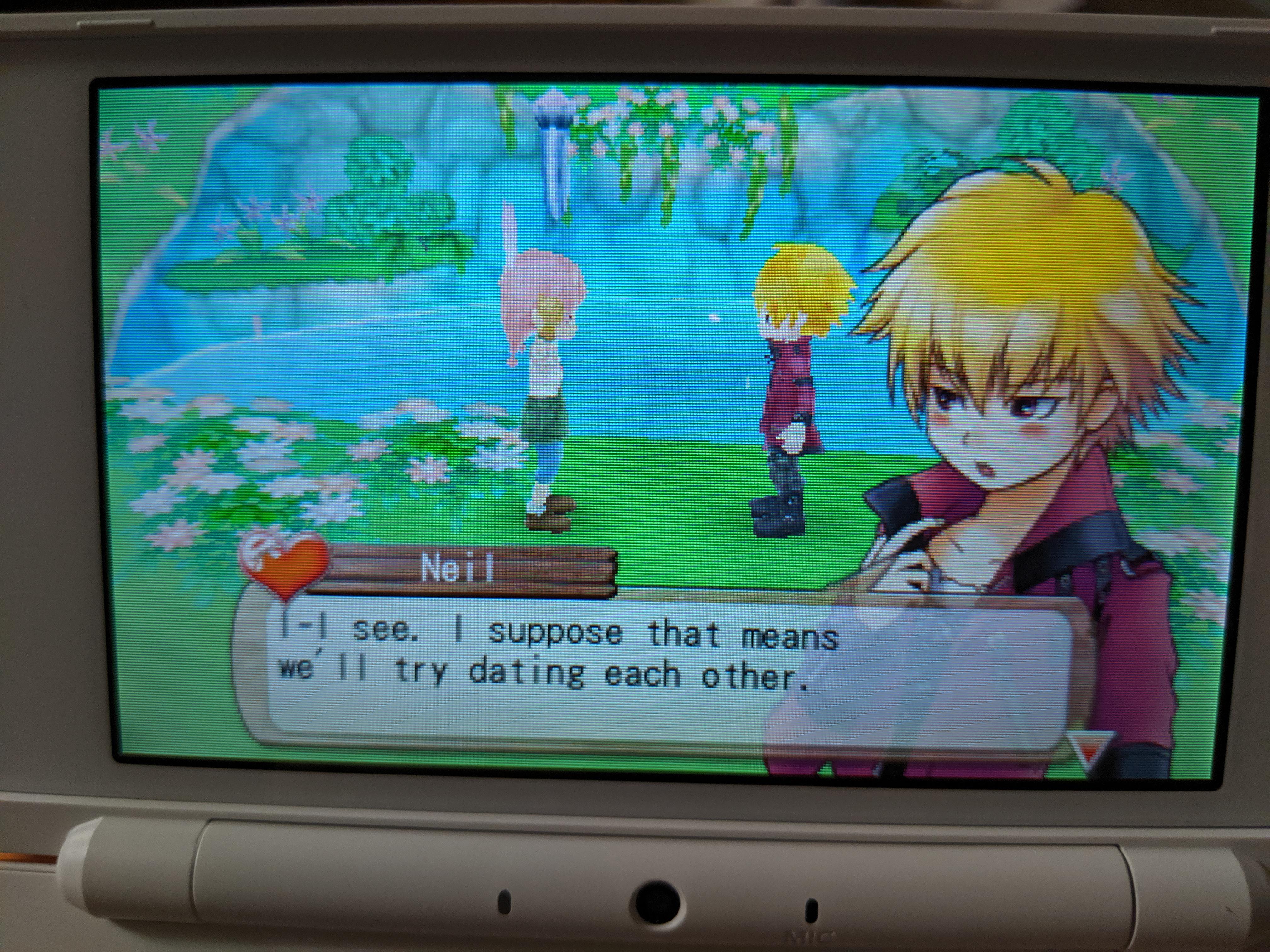 Harvest Moon A New Beginning Bachelors Neil