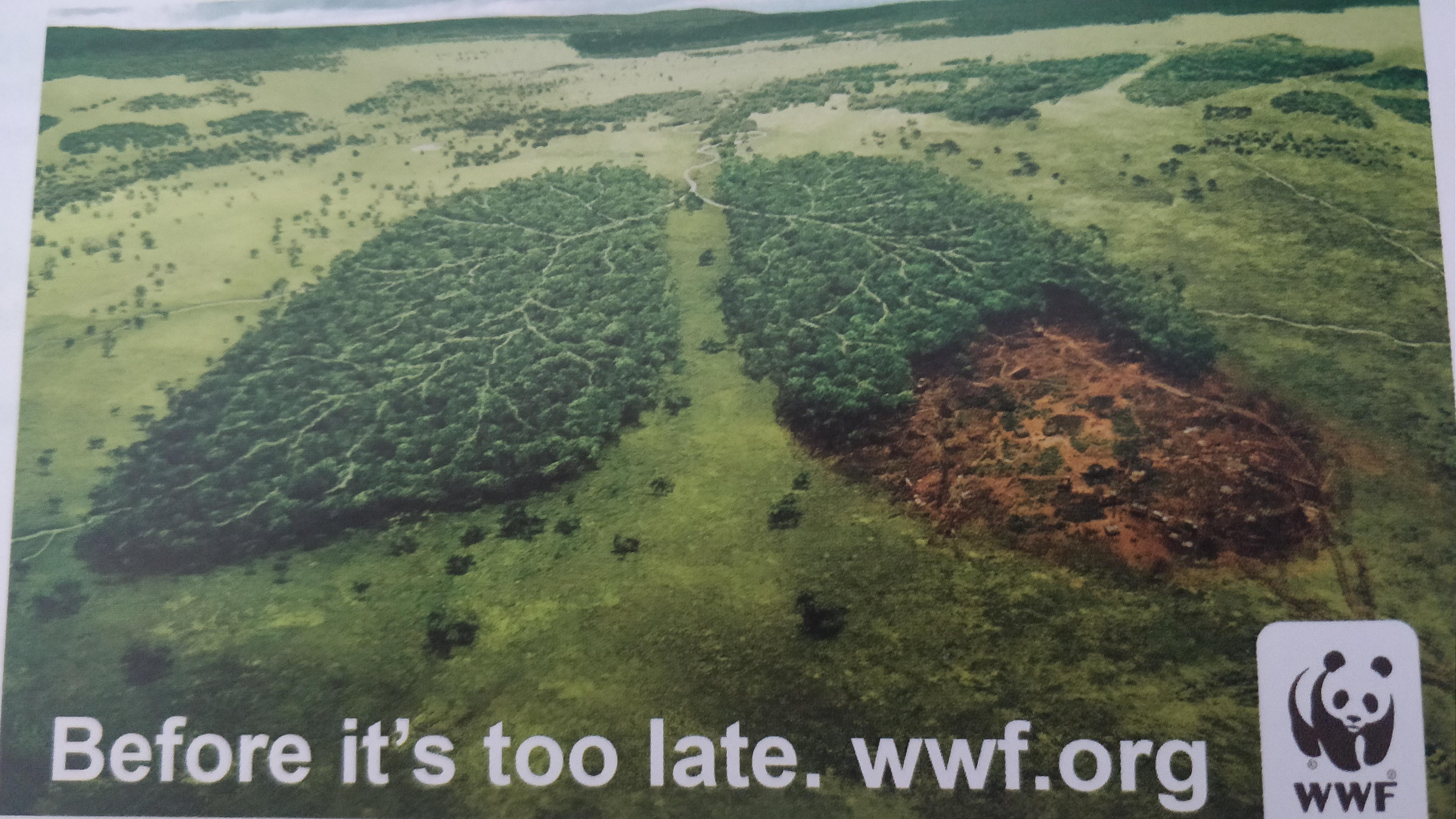 This WWF advertisement r/DesignPorn