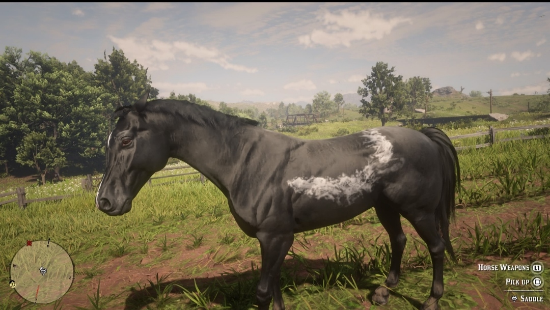 Wtf is wrong with my horse RDR2