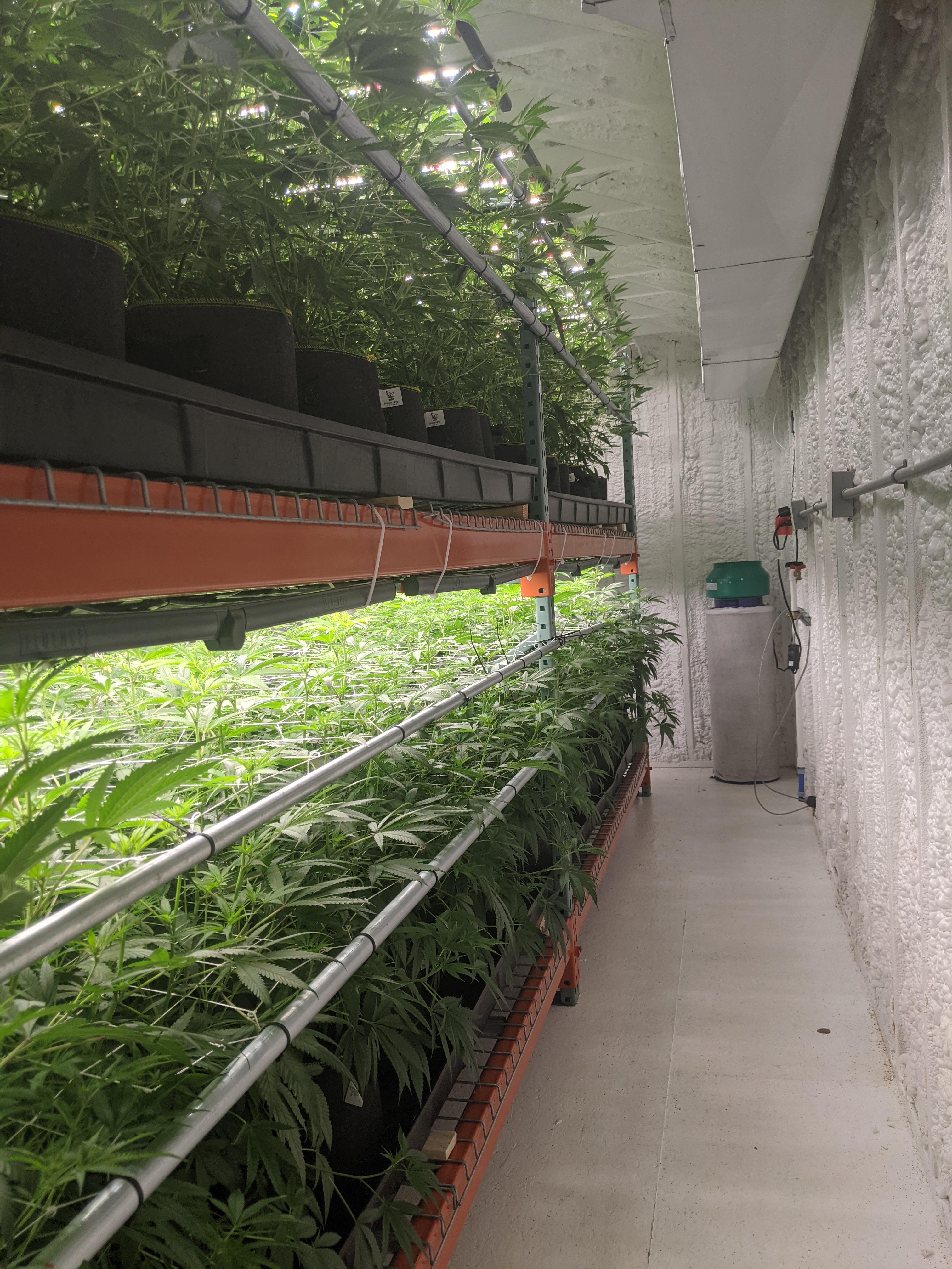 Rack city r/macrogrowery