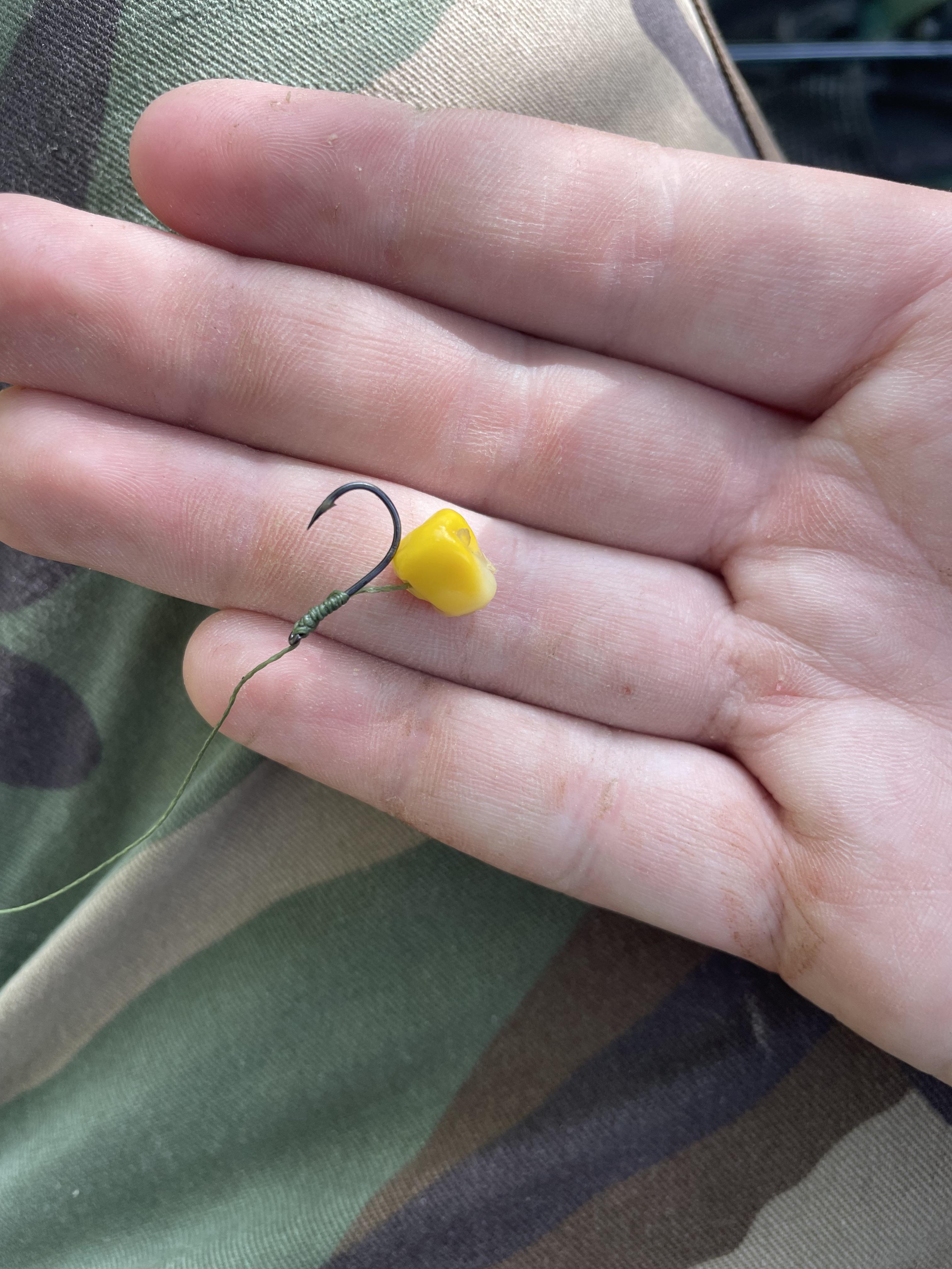 Hair rig r/CarpFishing