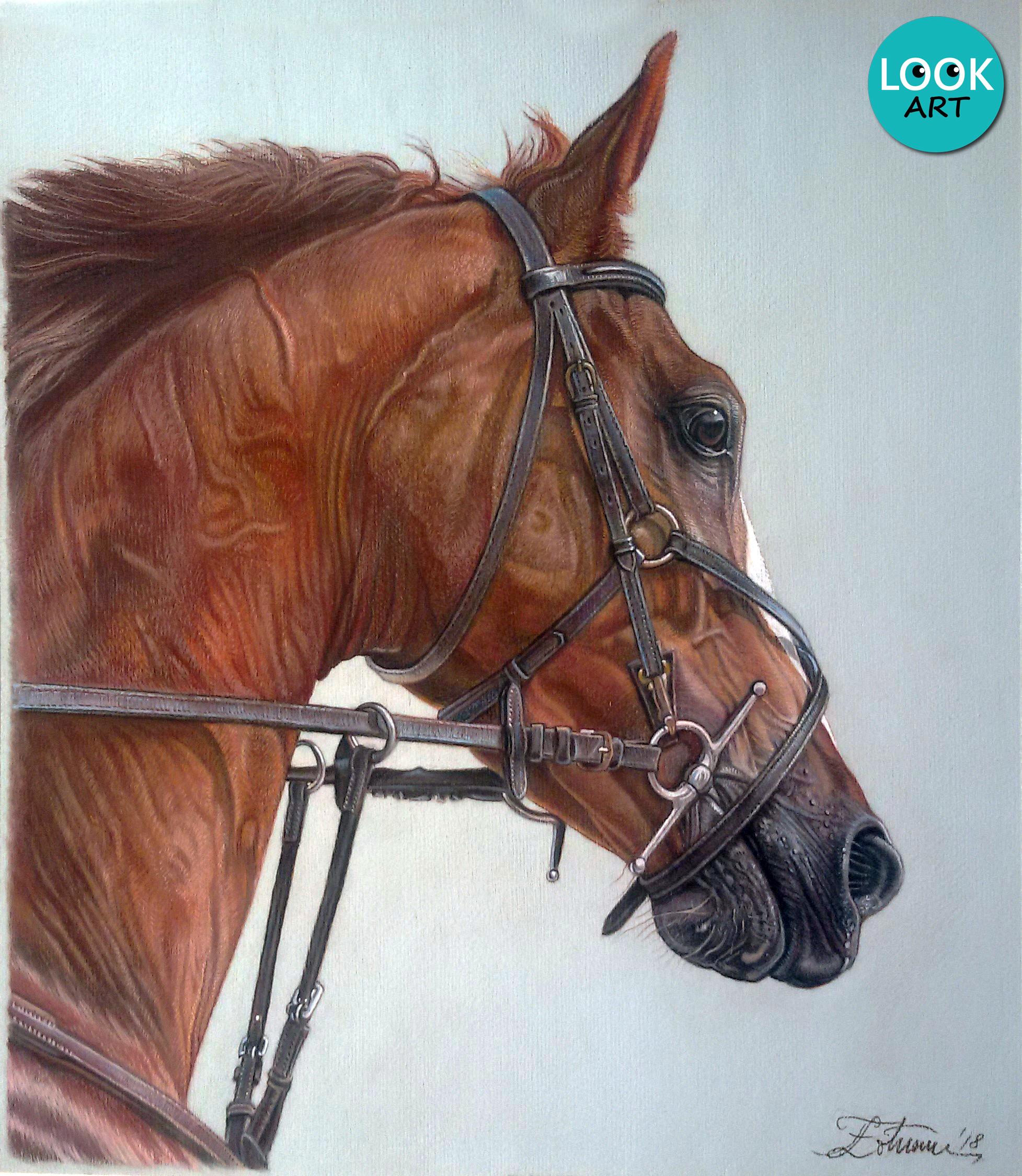 Horse portrait, pastel pencils, 46x40cm r/Art