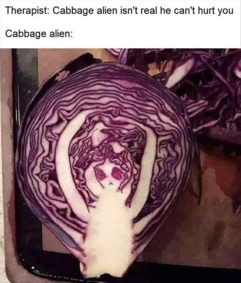 Cabbage alien !!! r/voidpunk