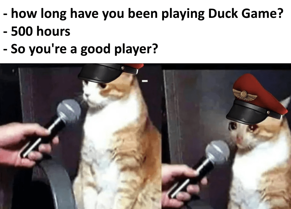 Duck Meme r/duckgame