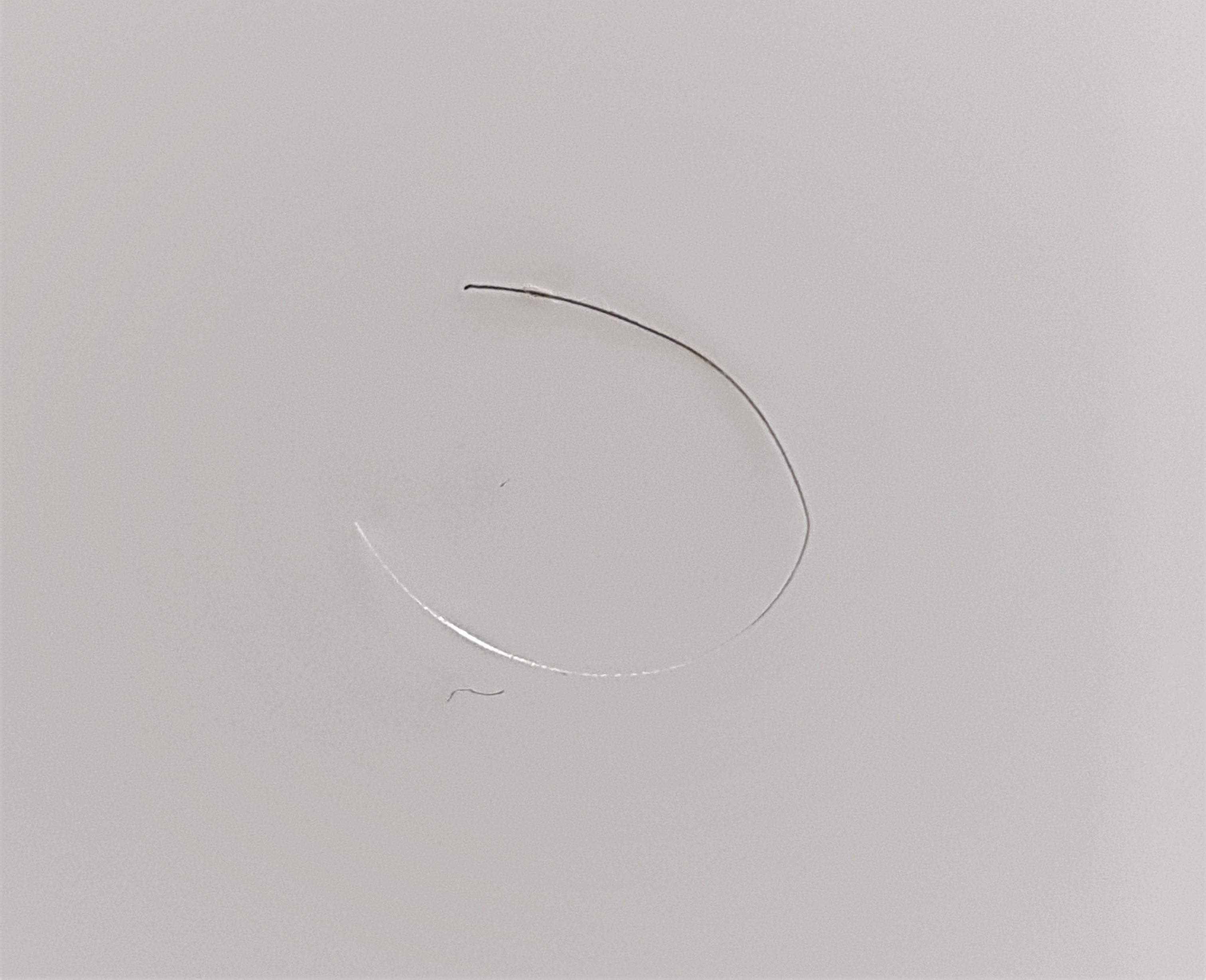 Can IF cause white hair to turn black again? r/intermittentfasting