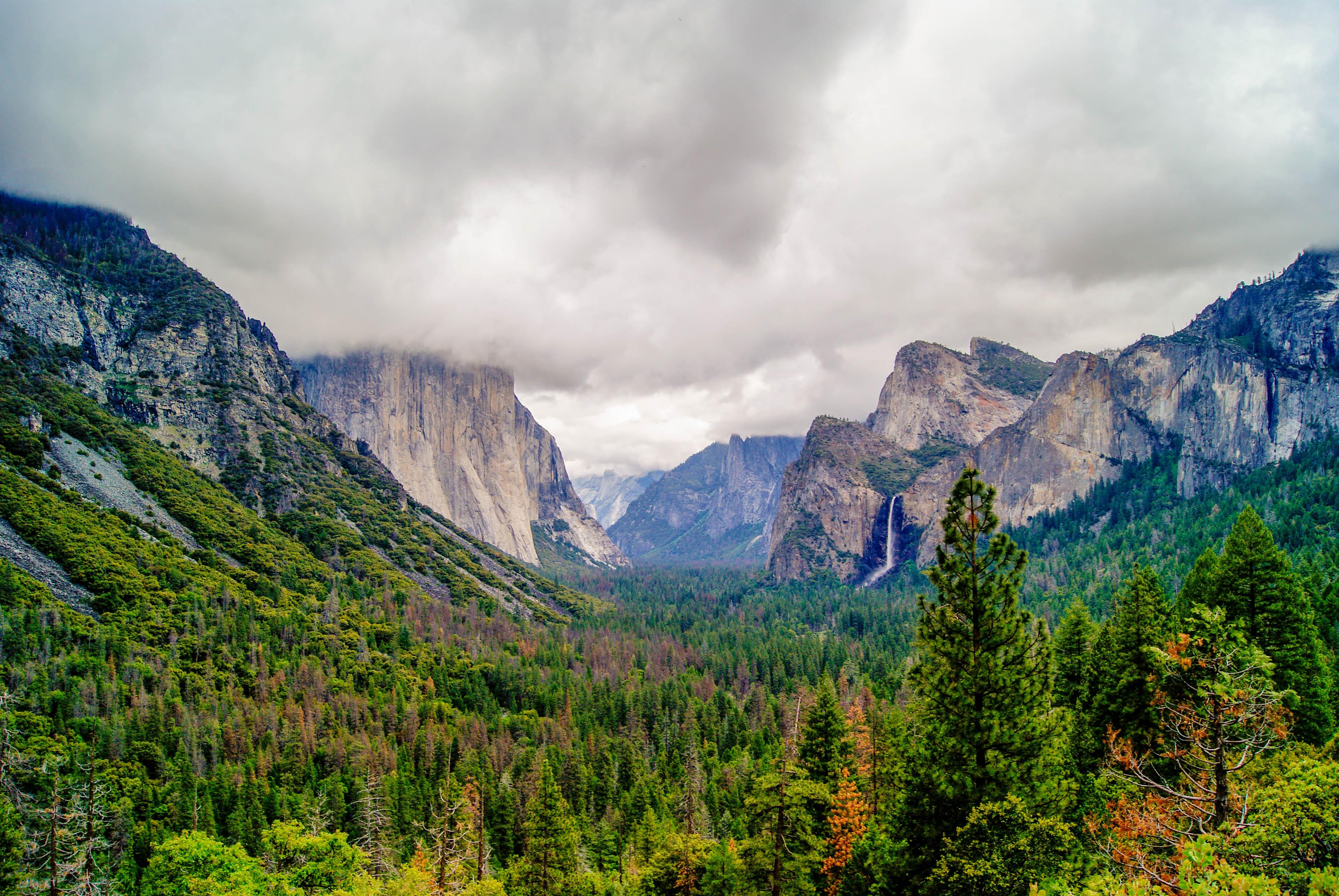 Joining the Yosemite trend; Yosemite Valley on a very foggy Memorial