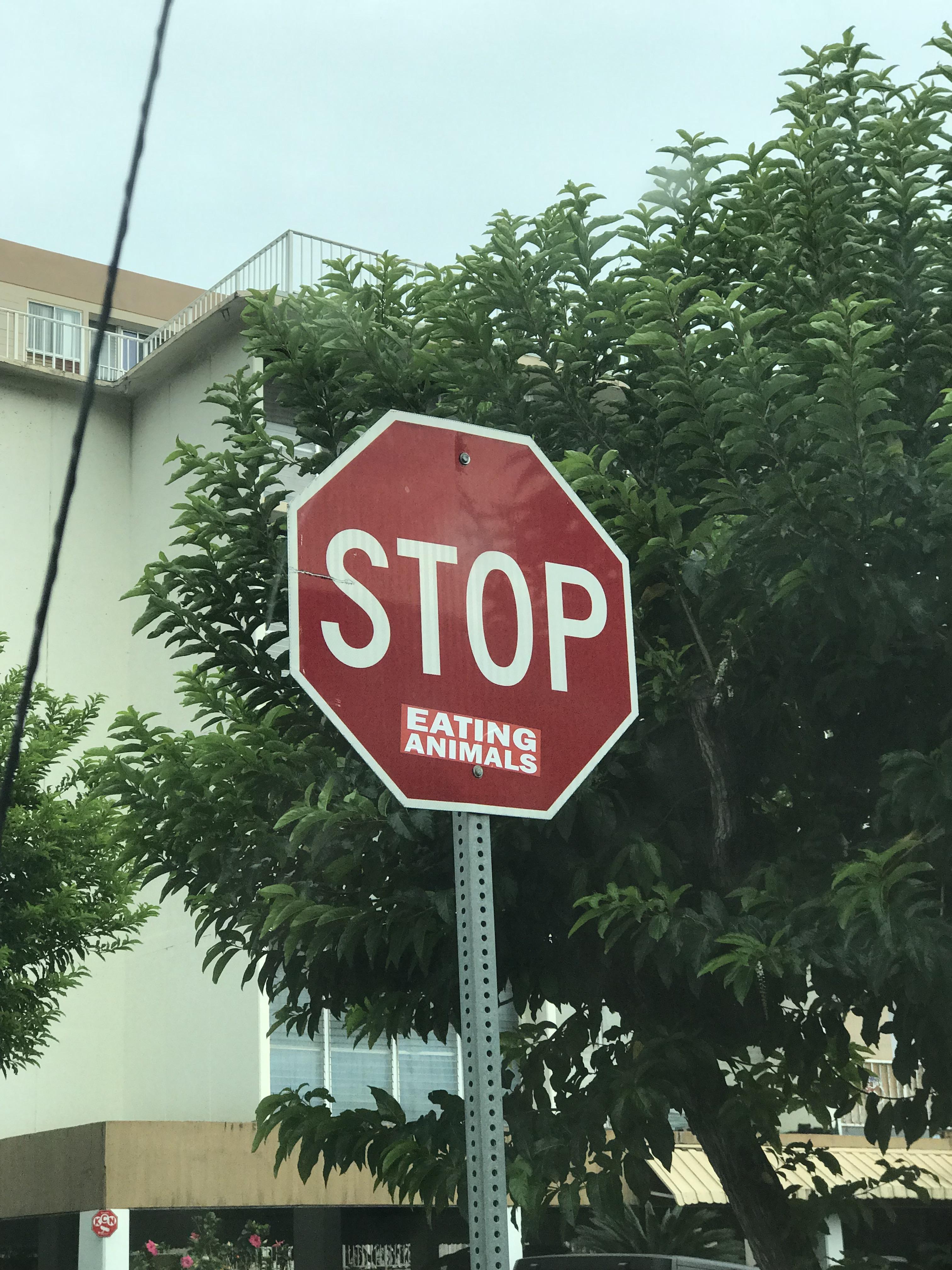 This stop sign in Hawaii r/MildlyVandalised