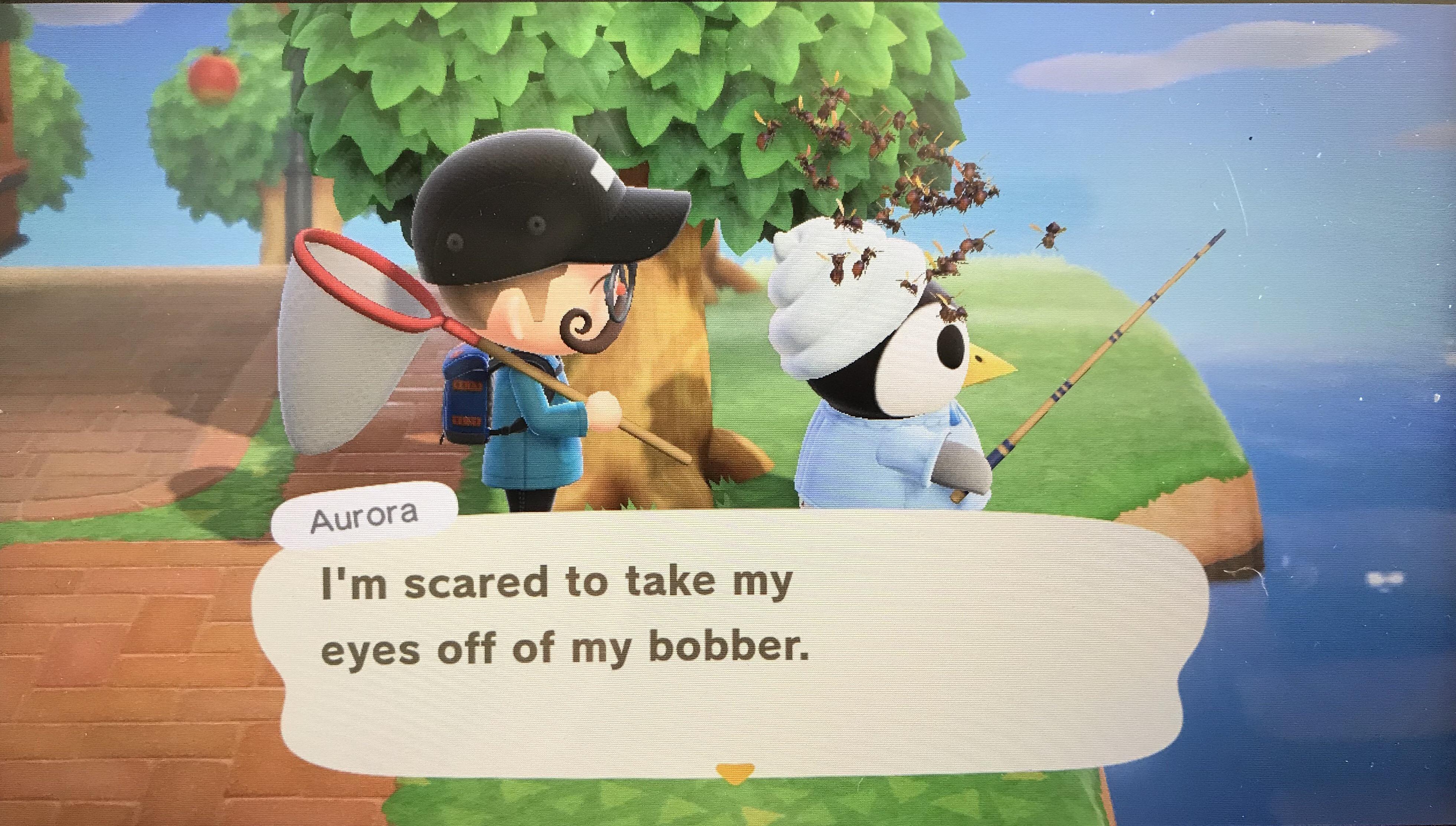 Animal Crossing Made a nicelooking park Animal Crossing