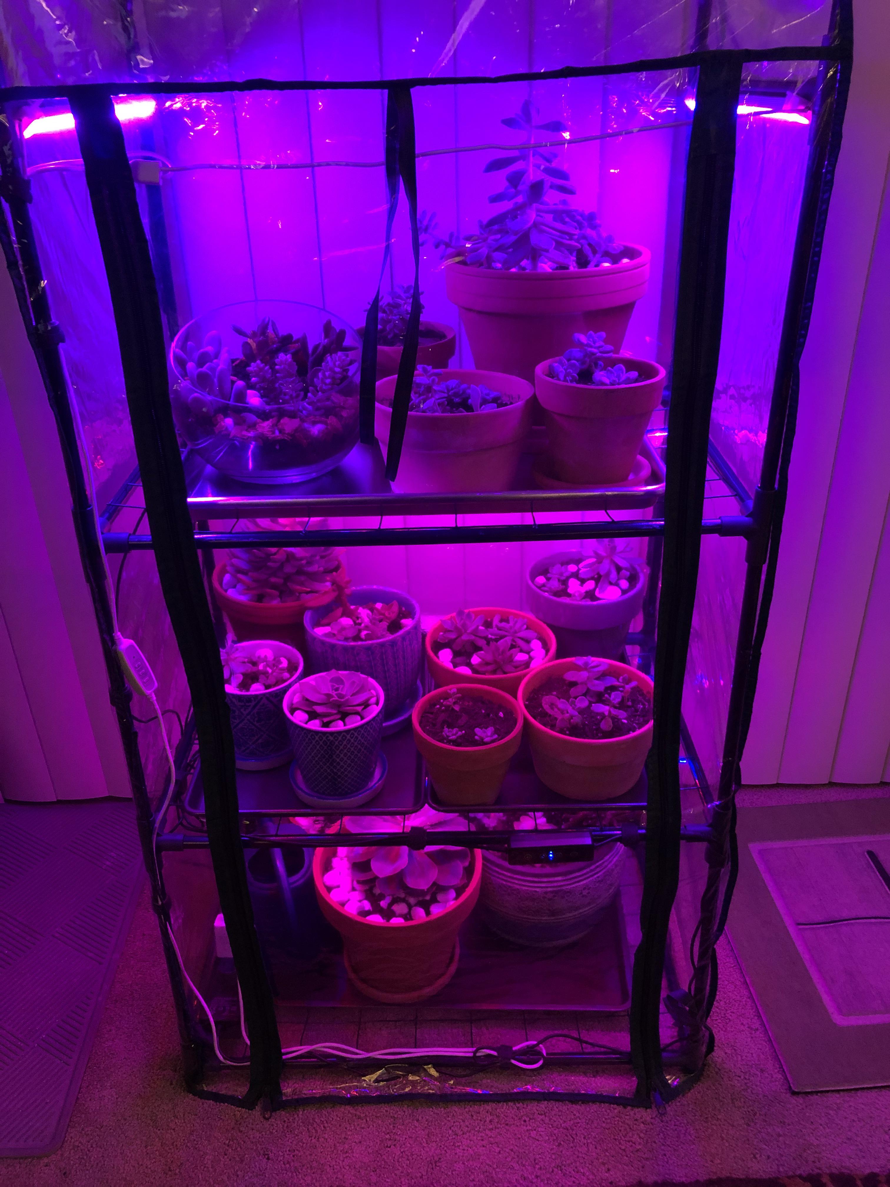 I know this has been asked a million times, but can I get