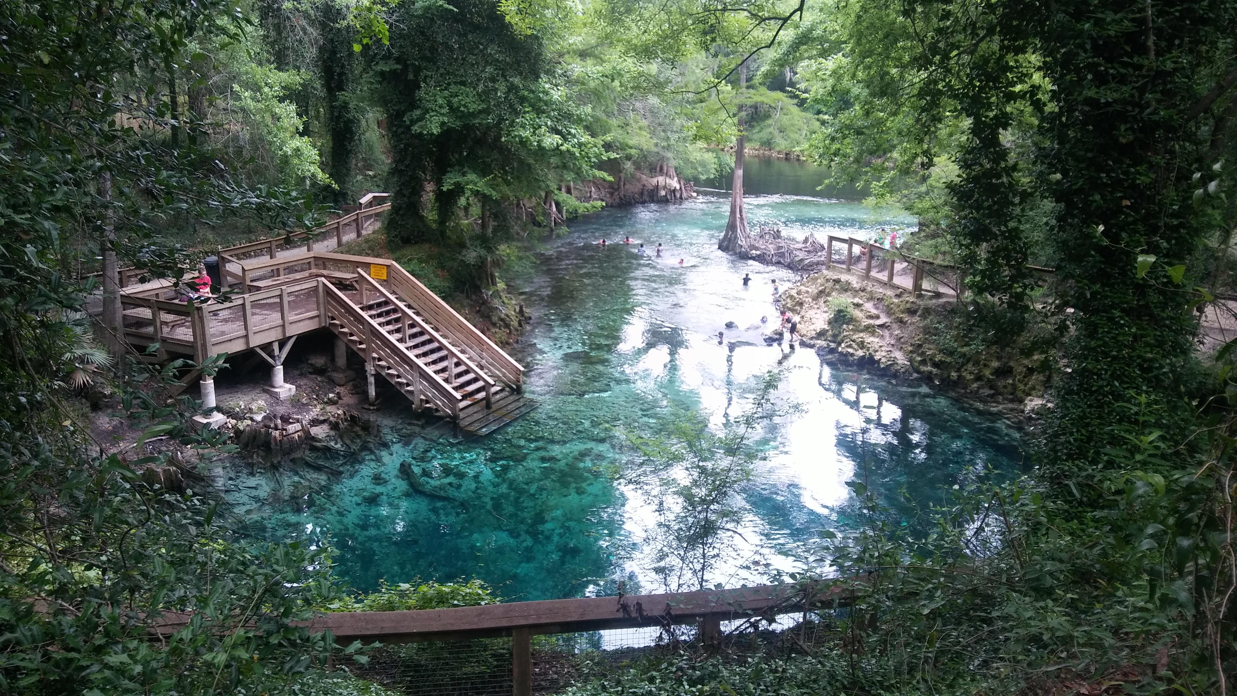Madison Blue springs. Off the Withlacoochee River. Madison County
