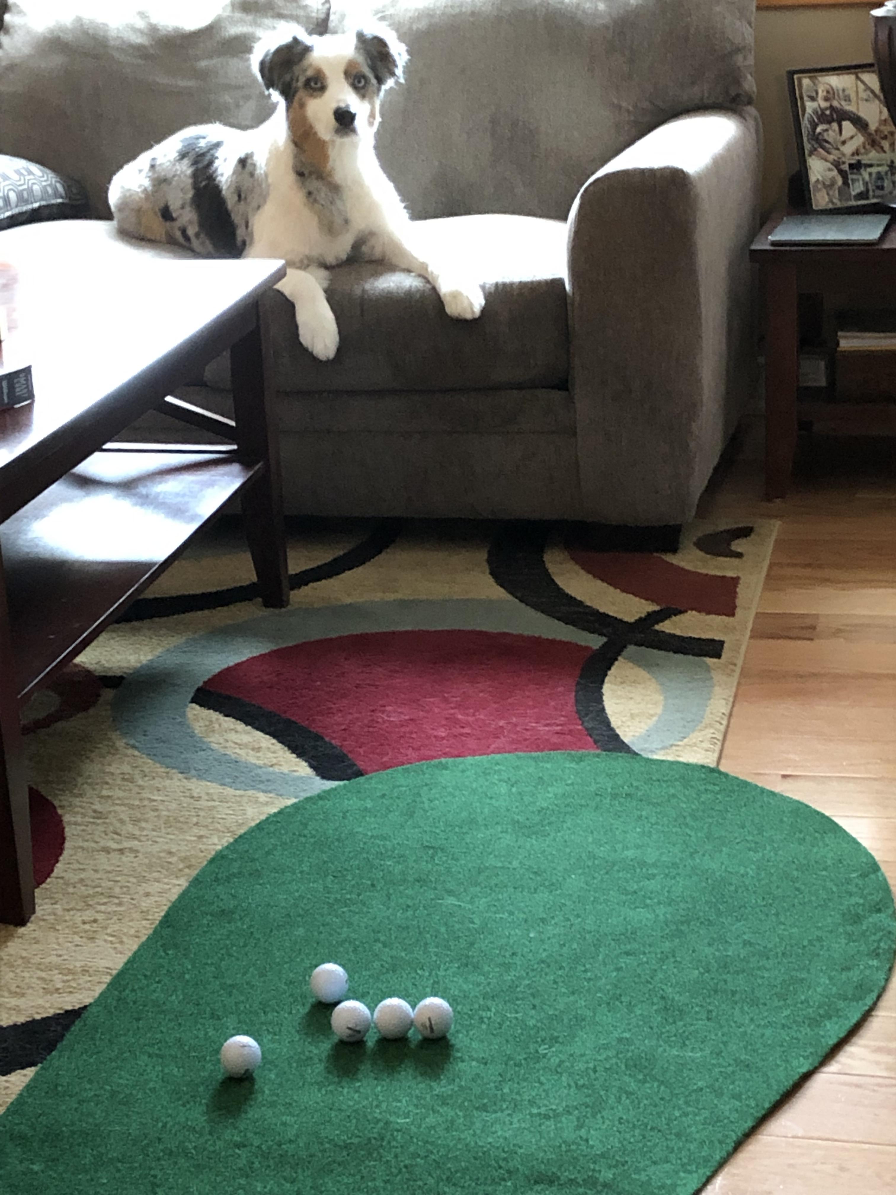 My putting coach r/golf
