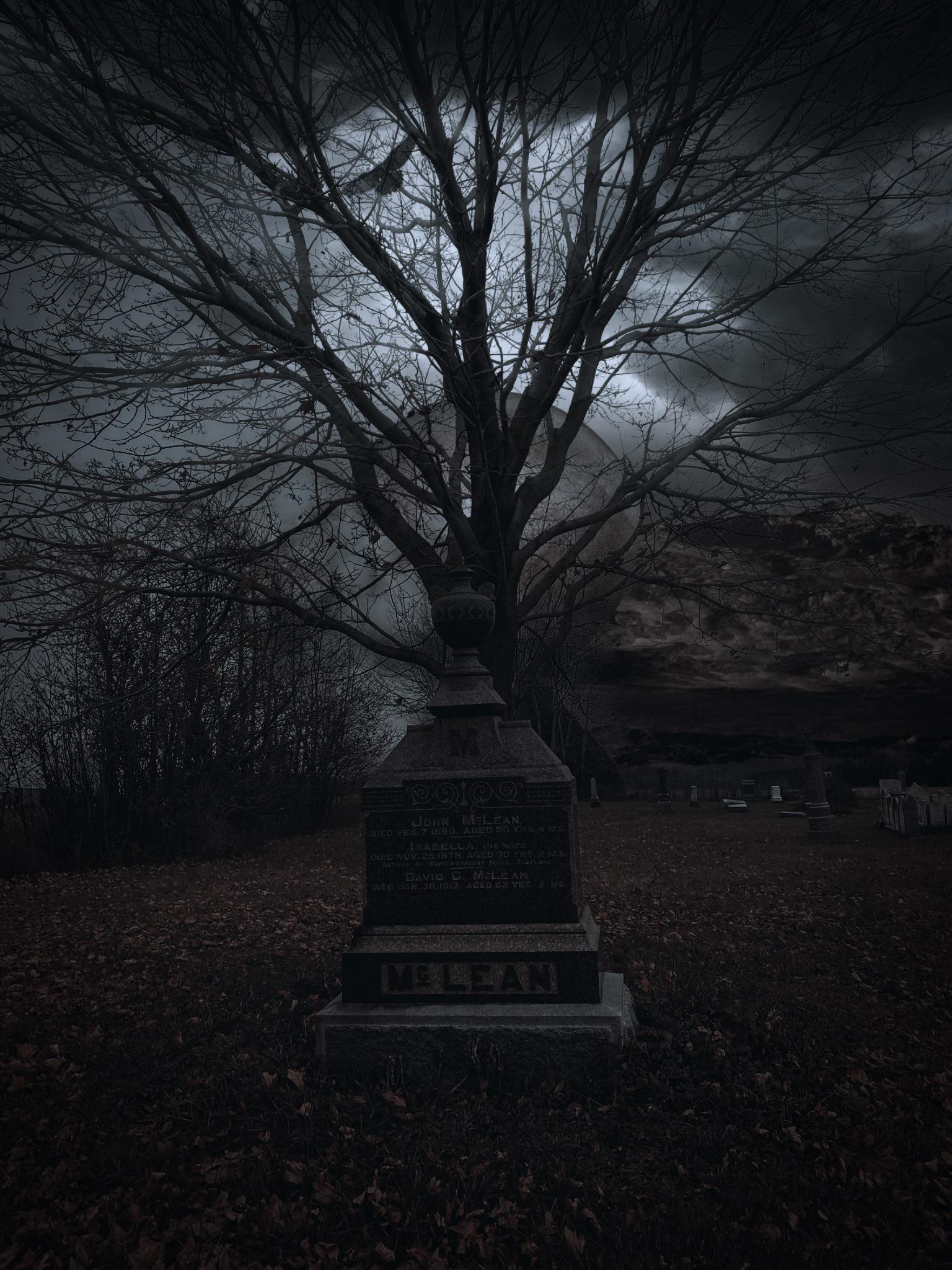 A tombstone nearby Brucefield, Ontario r/CemeteryPorn
