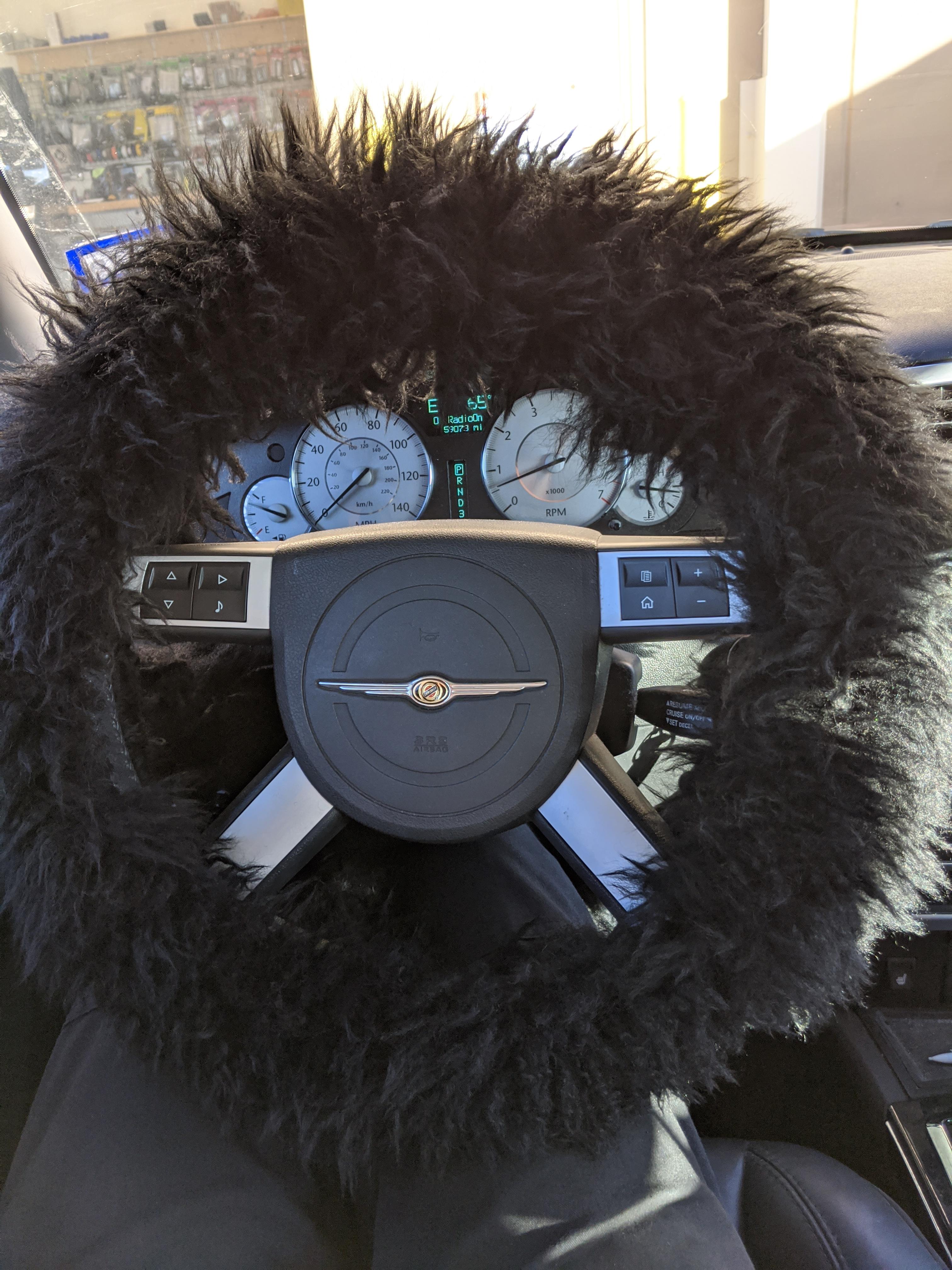 I saw someone's steering wheel cover so I wanted to share my