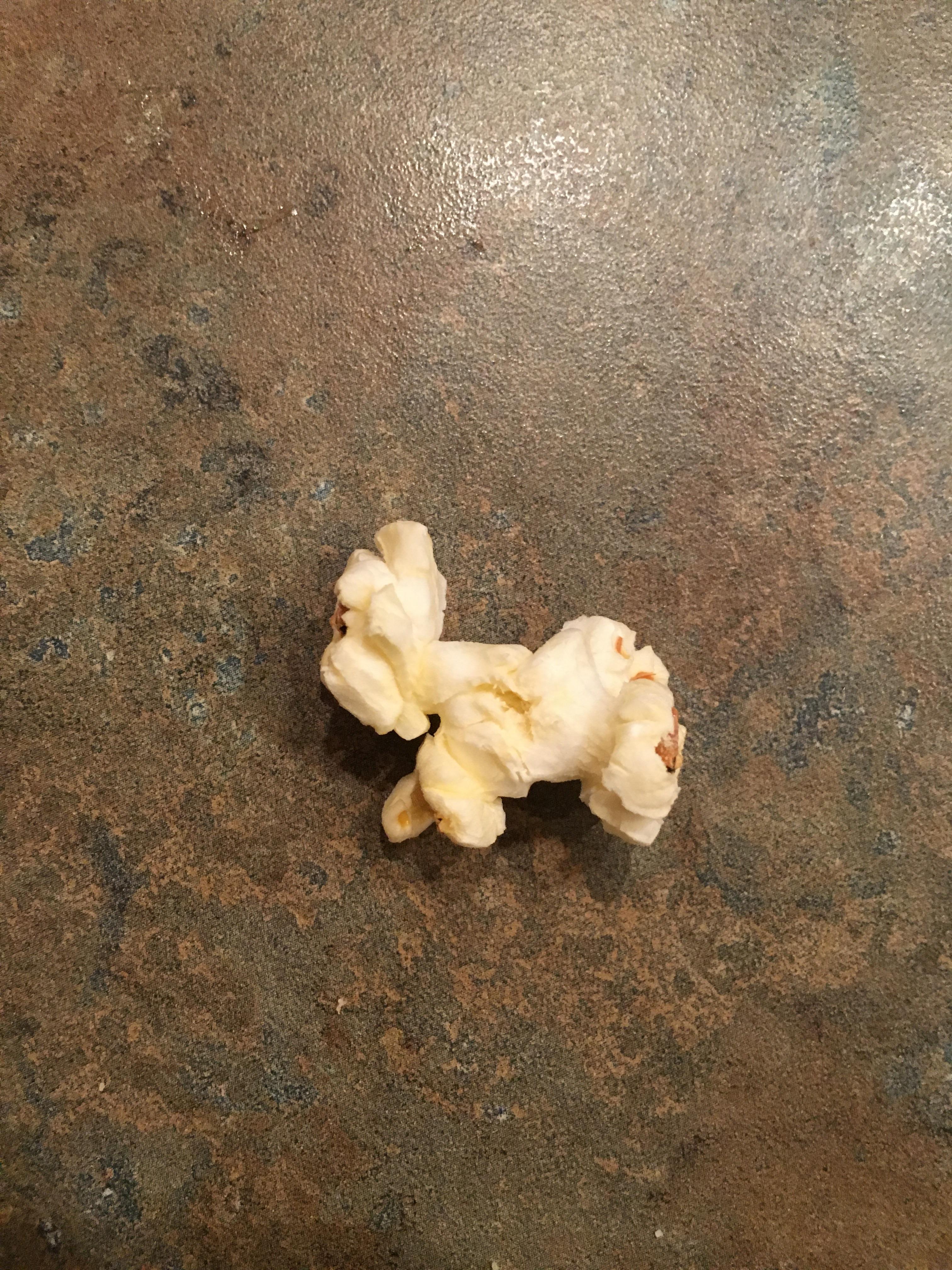 Why Do Dogs Love Popcorn